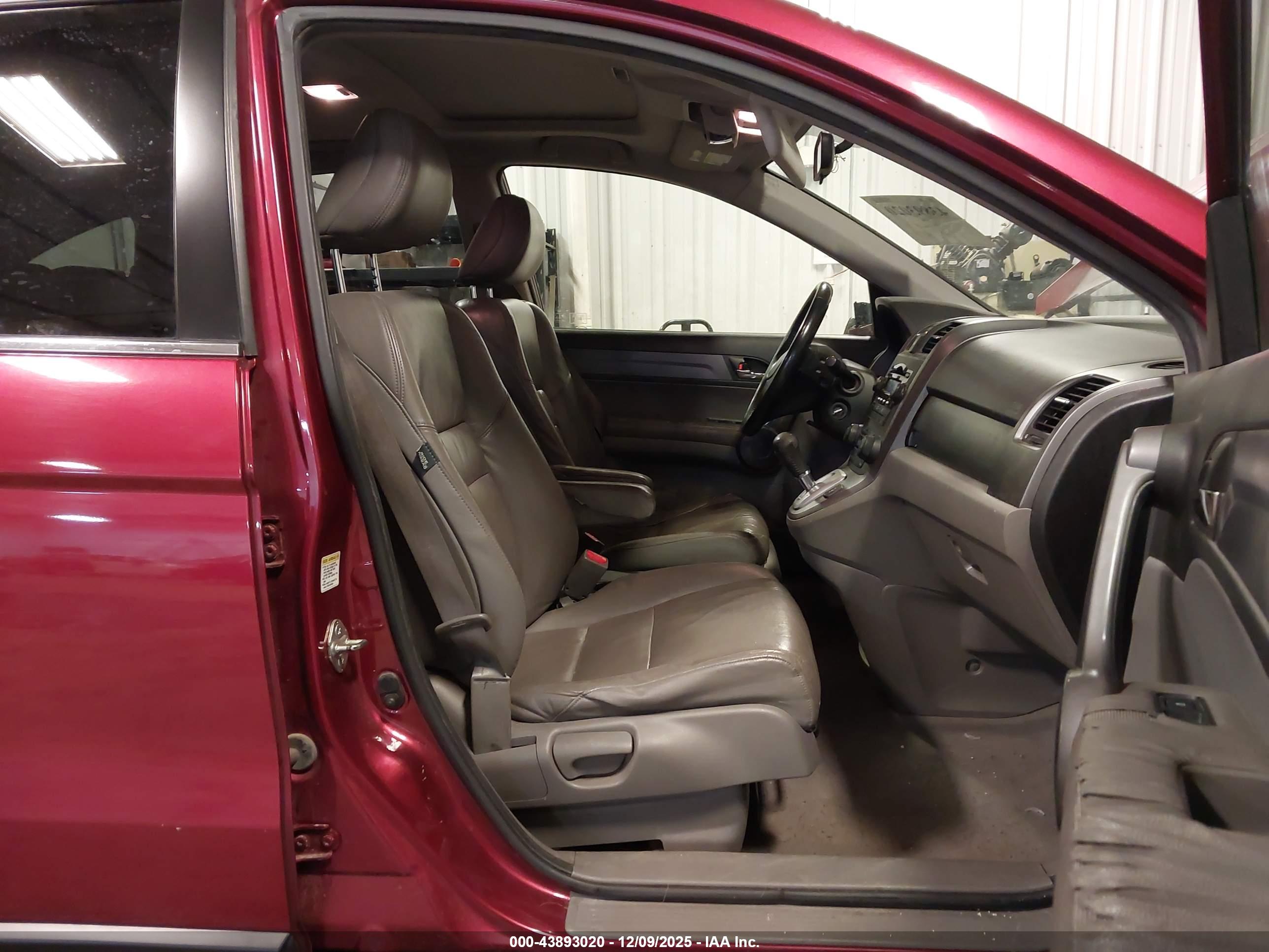 HONDA CR-V image 5