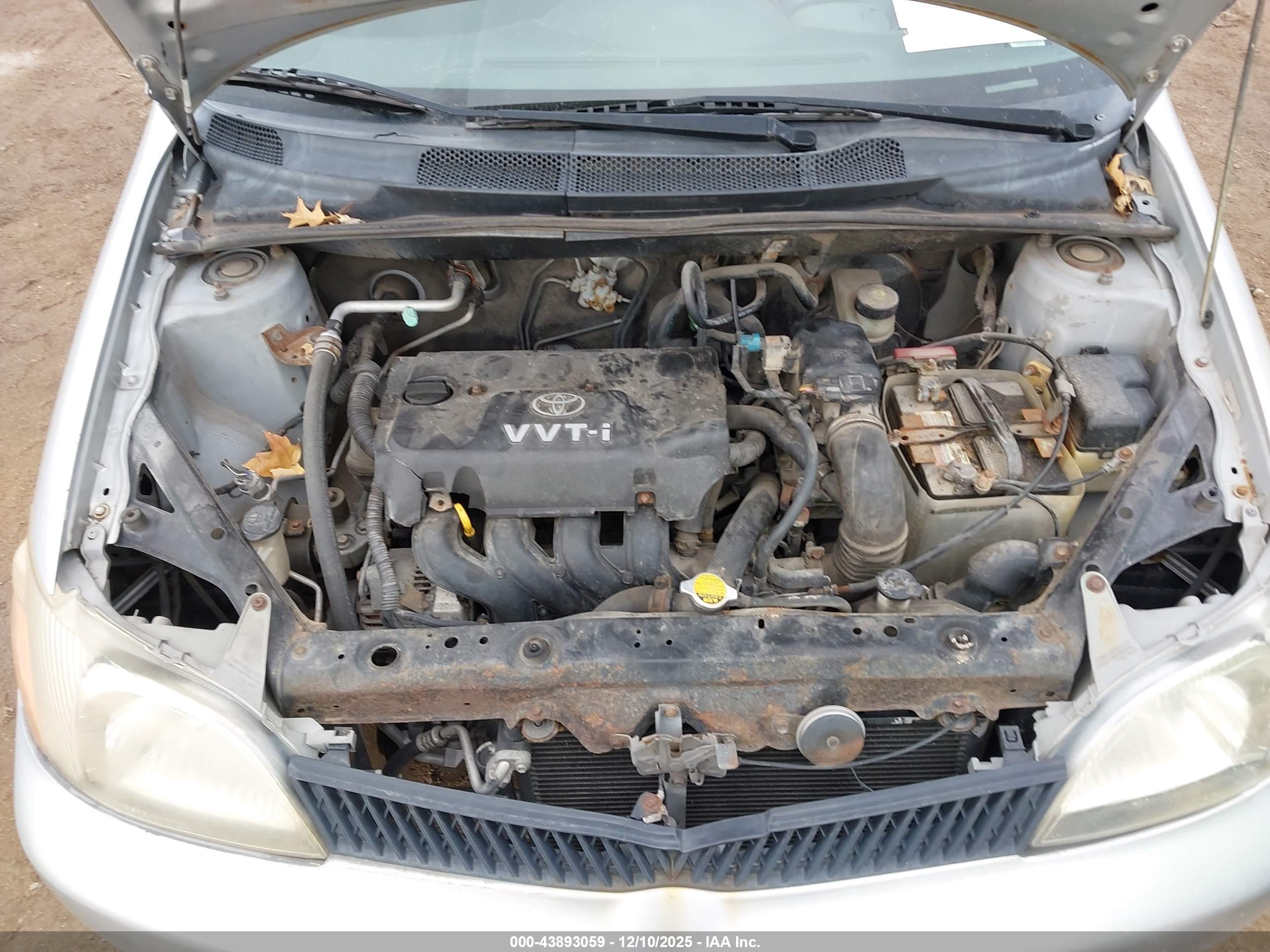 TOYOTA ECHO image 10