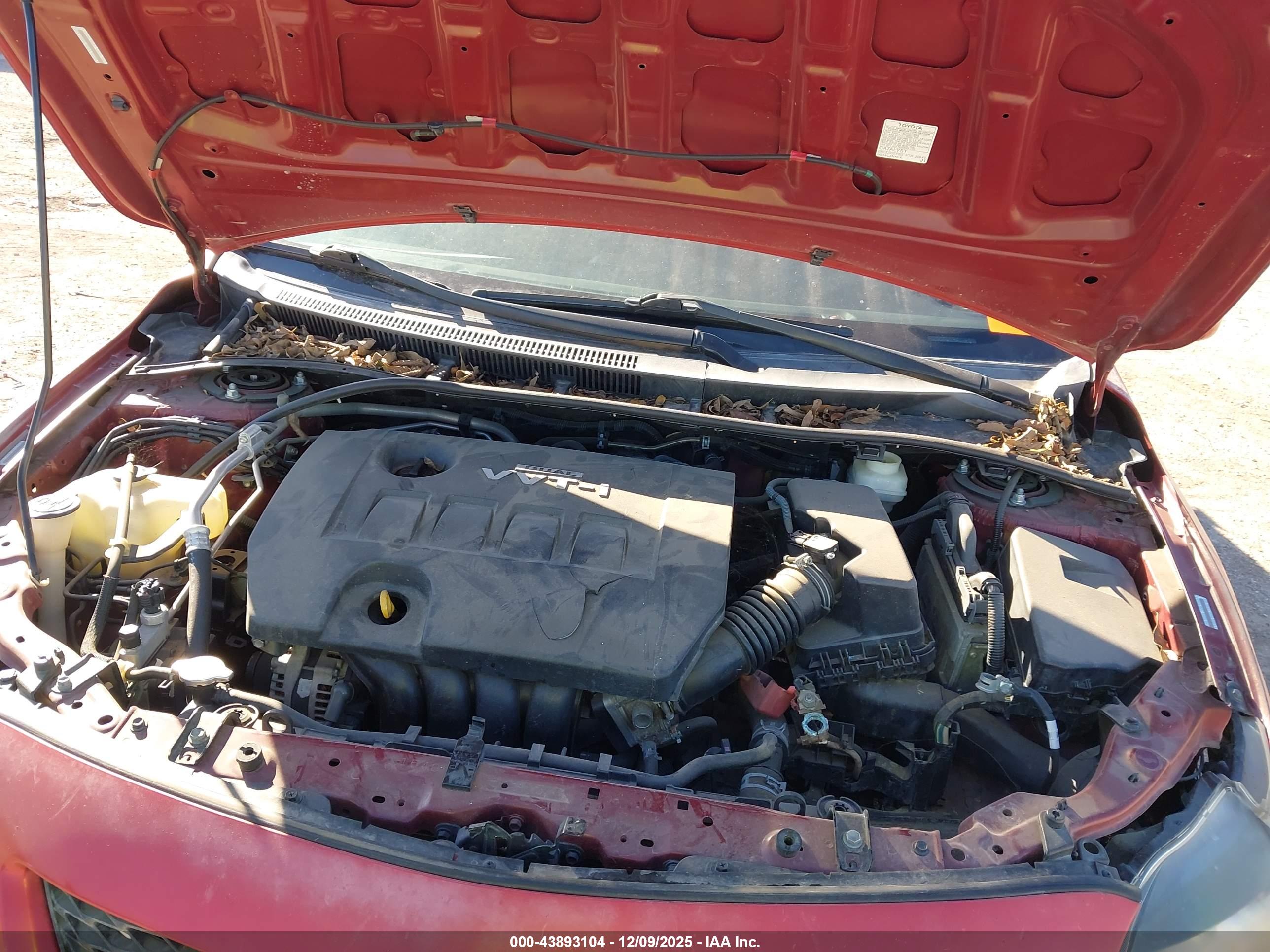 TOYOTA COROLLA image 10