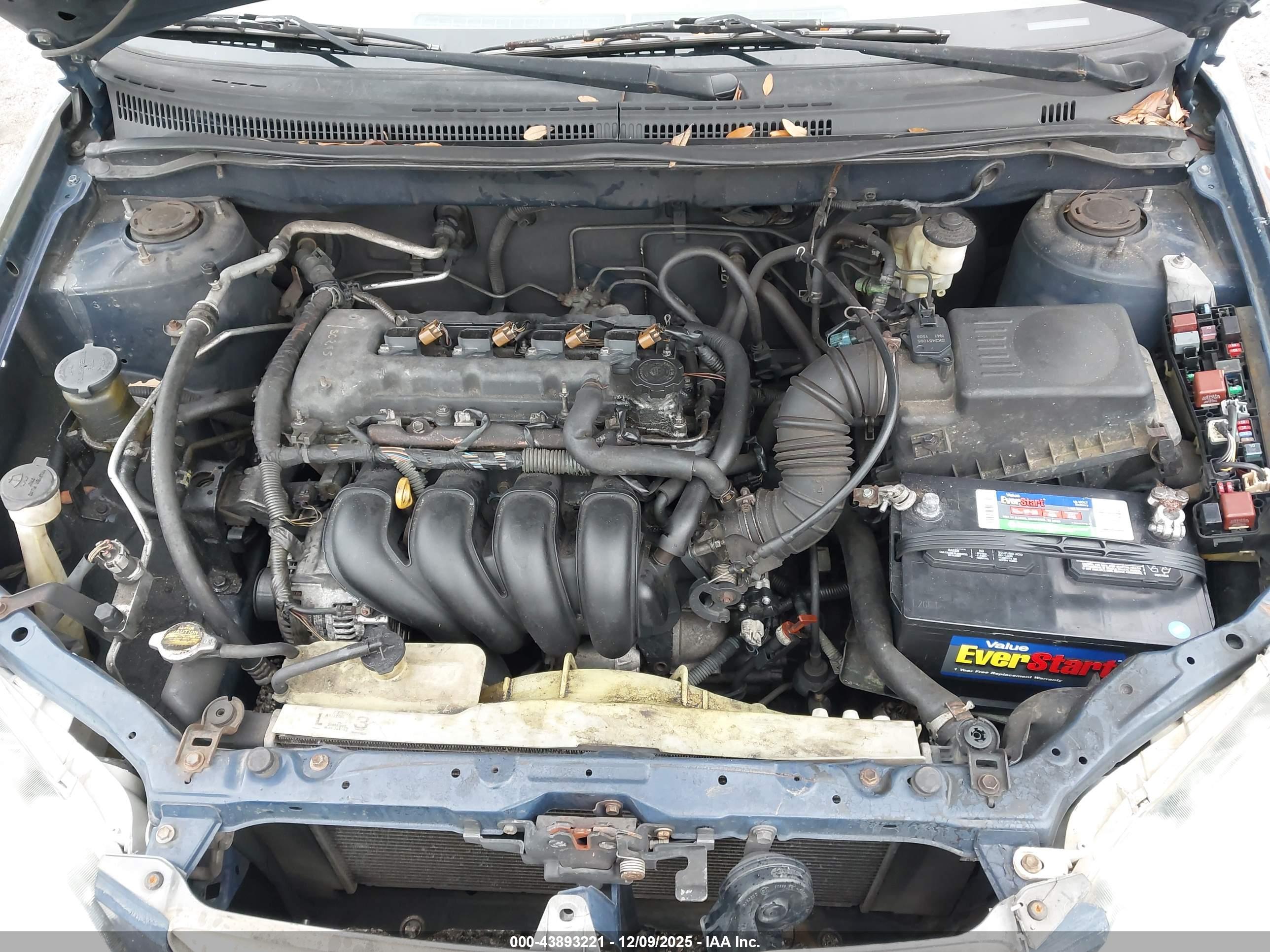 TOYOTA COROLLA image 10