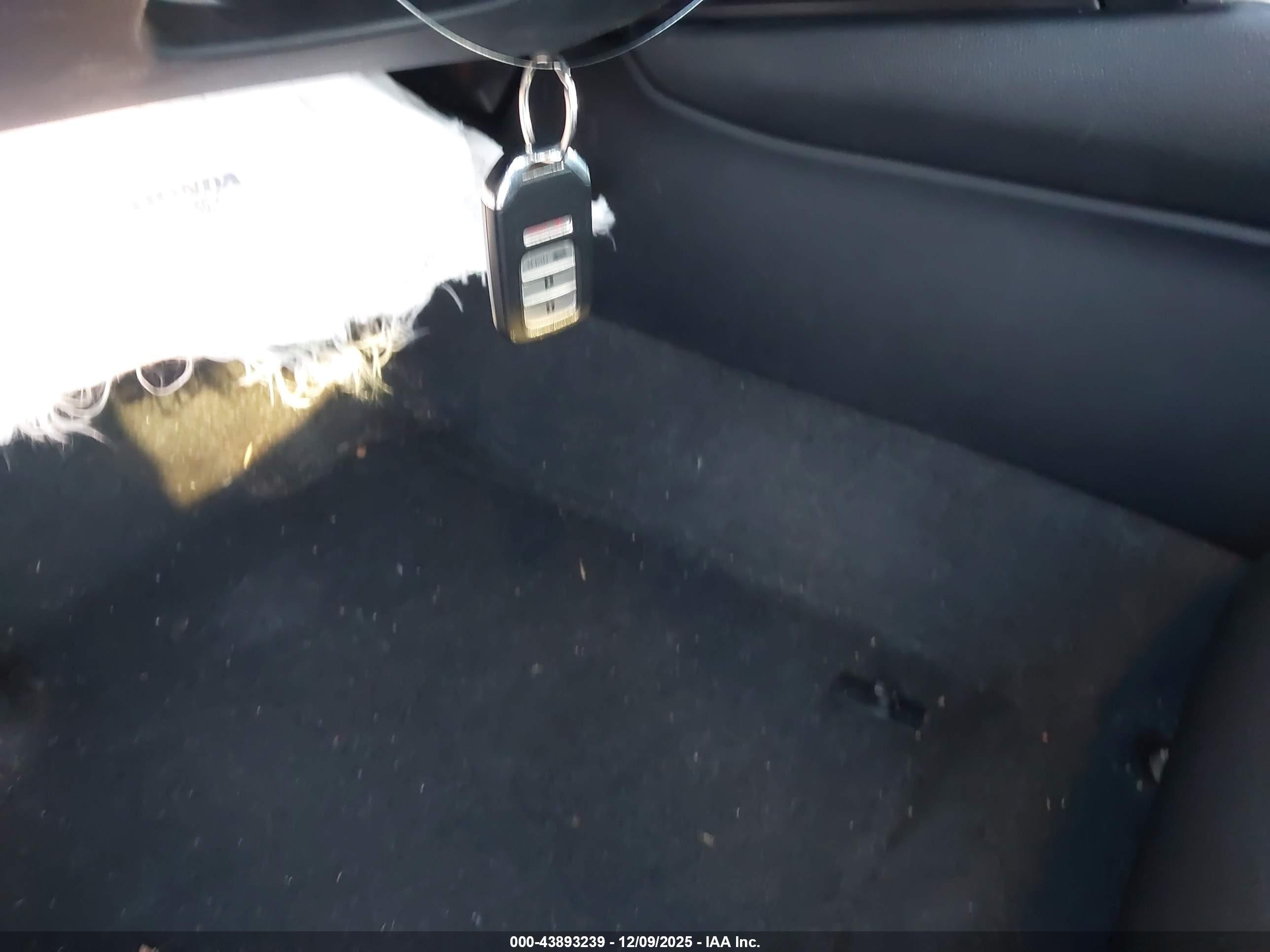 HONDA ACCORD image 11