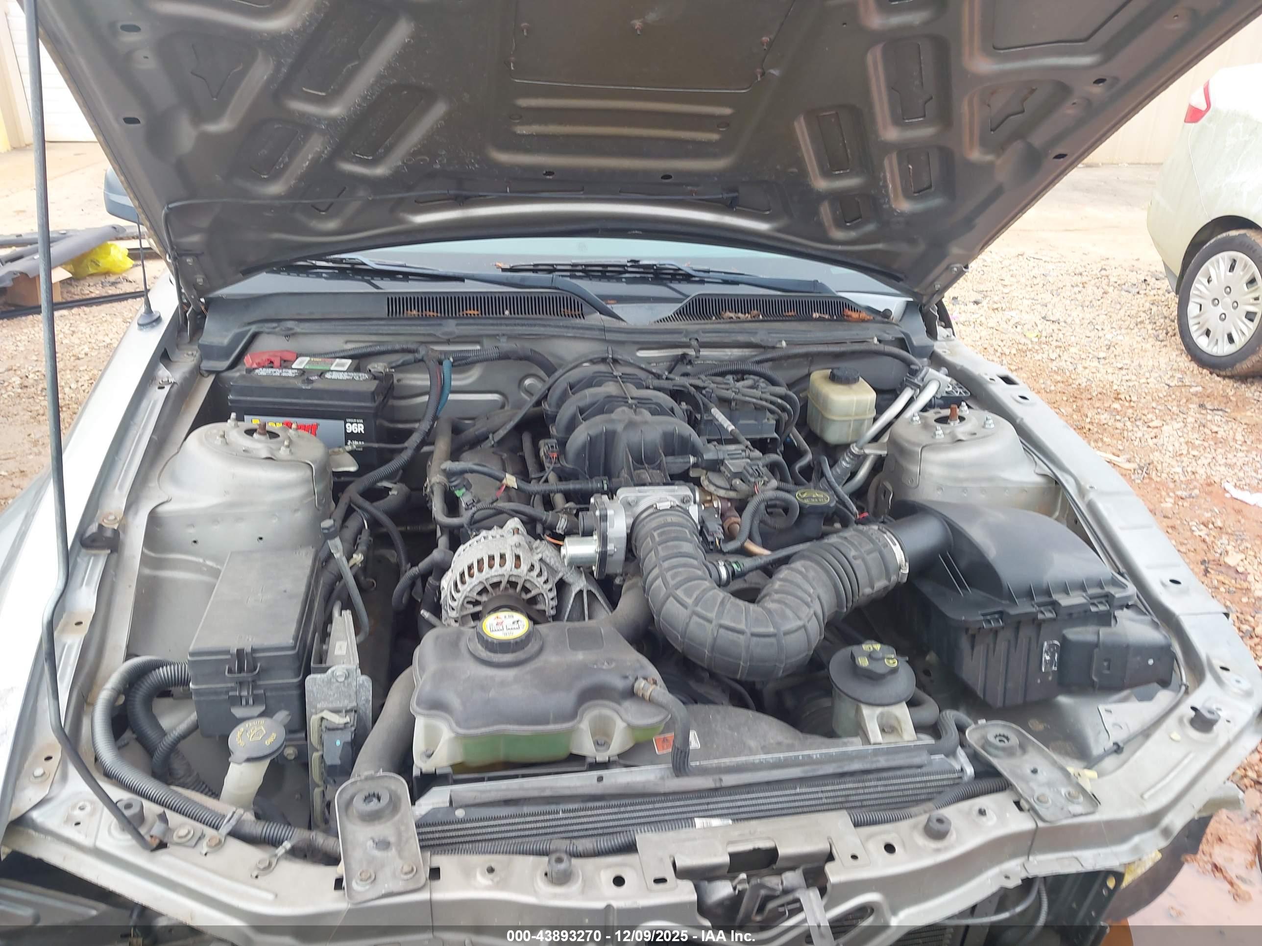 FORD MUSTANG image 10