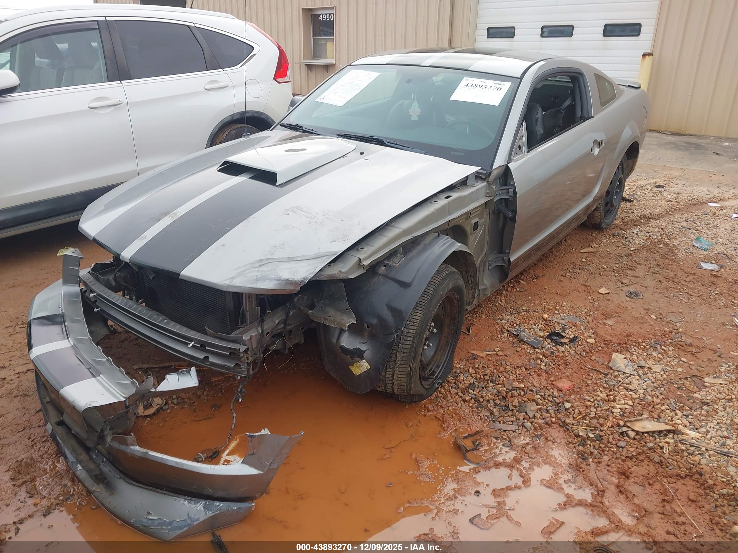 FORD MUSTANG image 2
