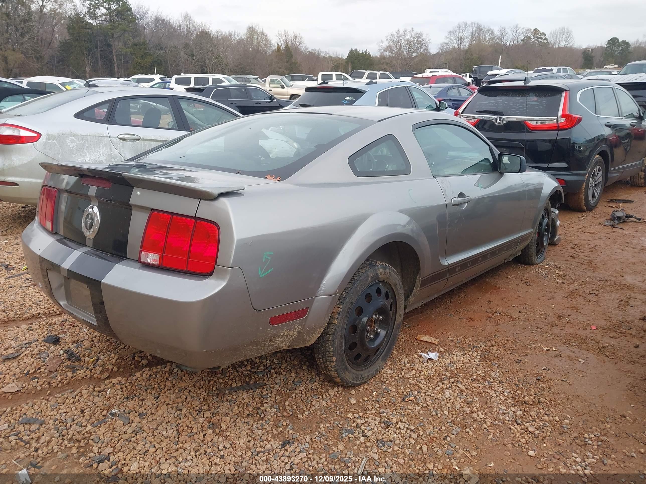 FORD MUSTANG image 4