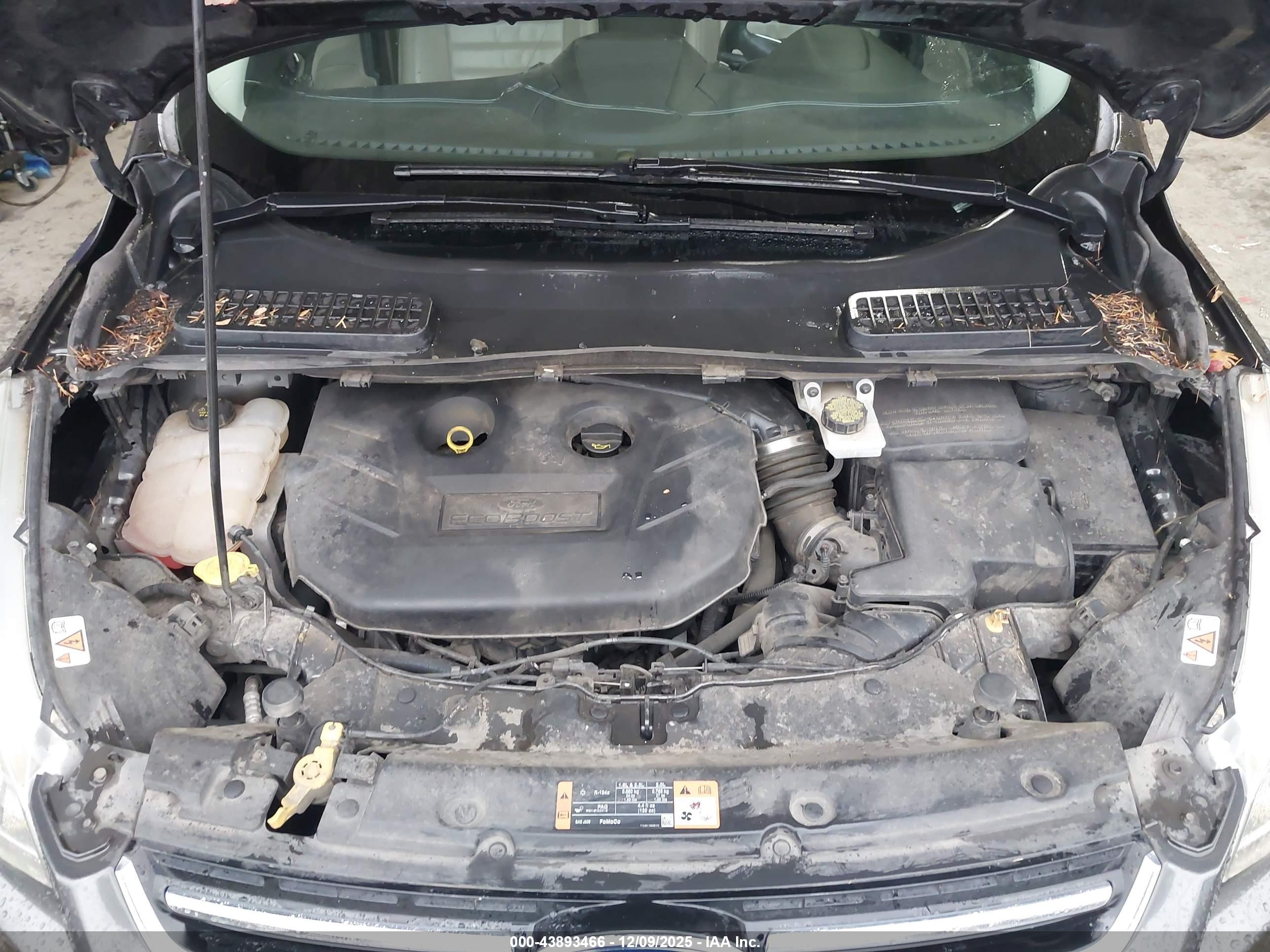 FORD ESCAPE image 10