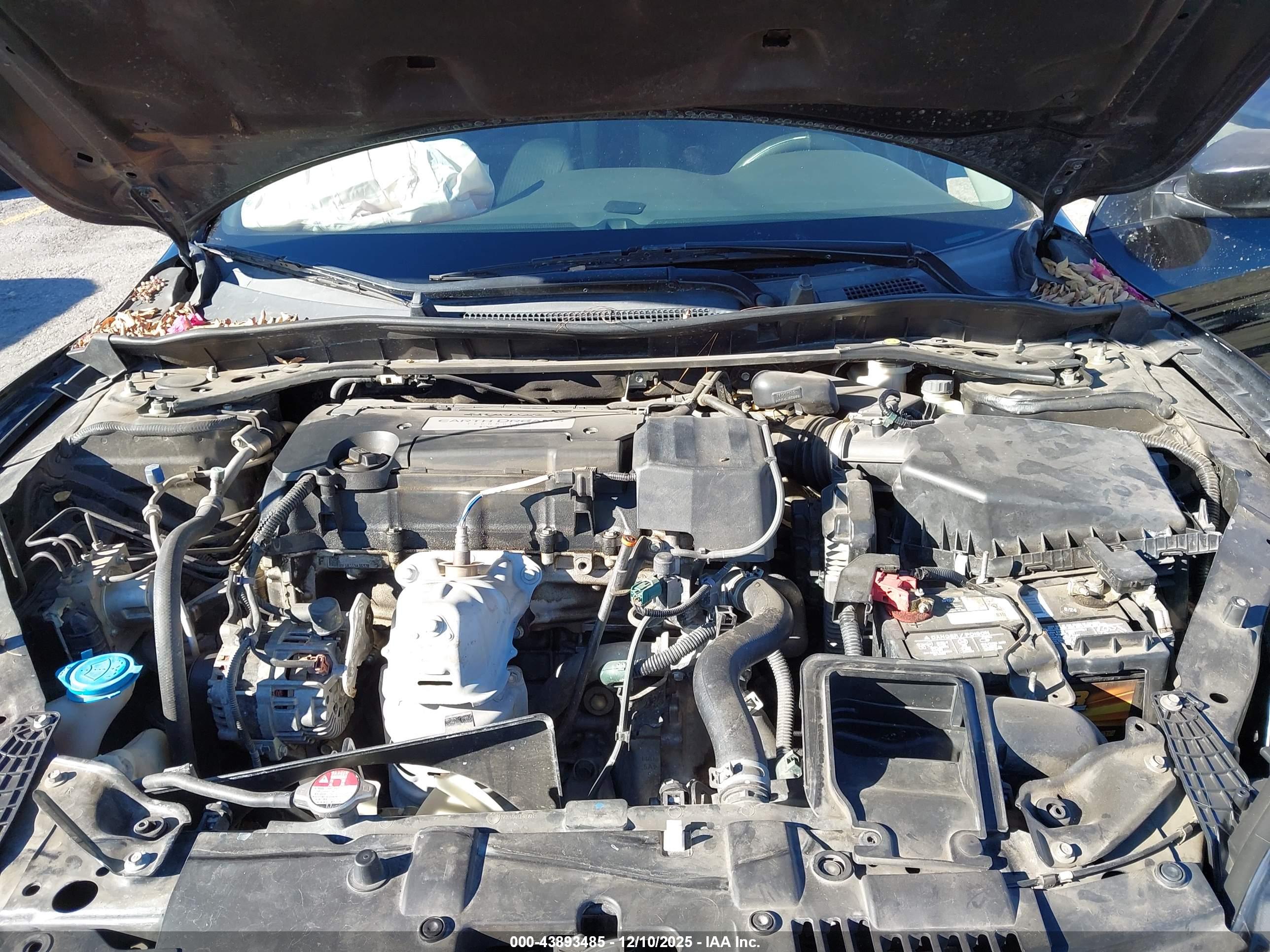 HONDA ACCORD image 10