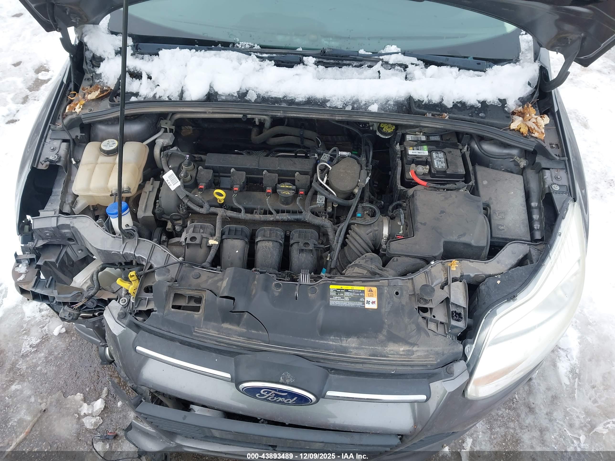 FORD FOCUS image 10