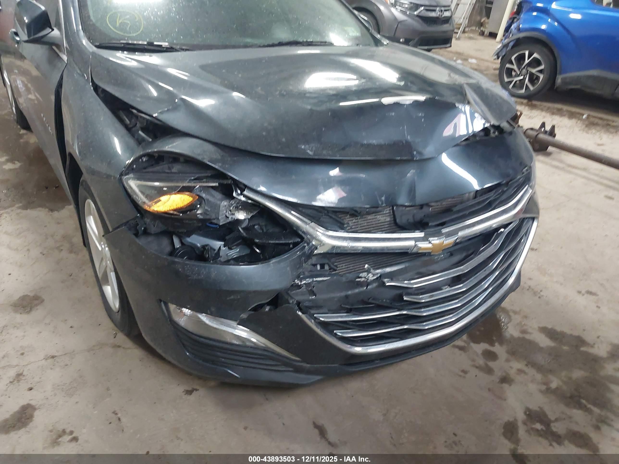 CHEVROLET MALIBU image 6
