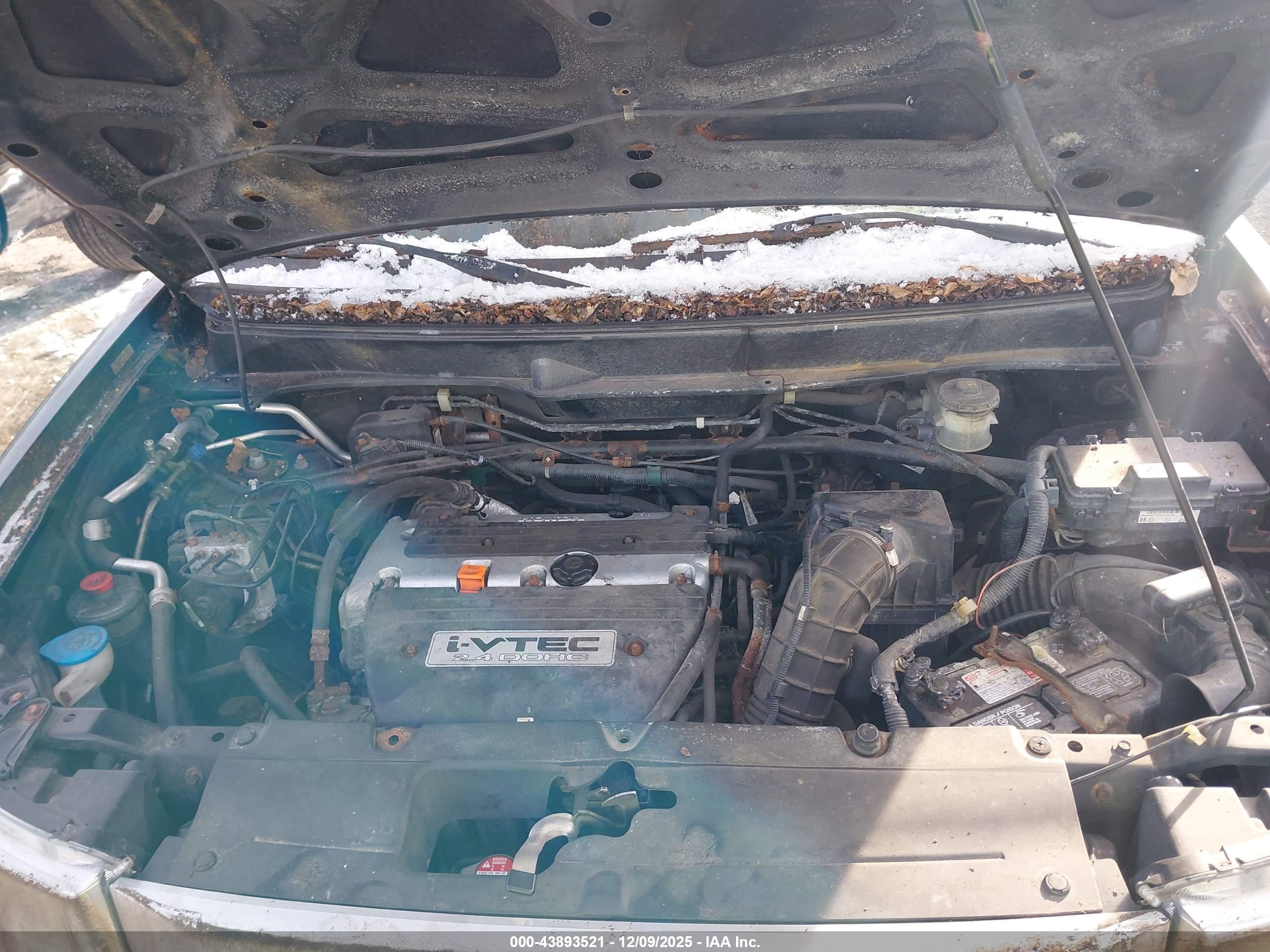HONDA ELEMENT image 10