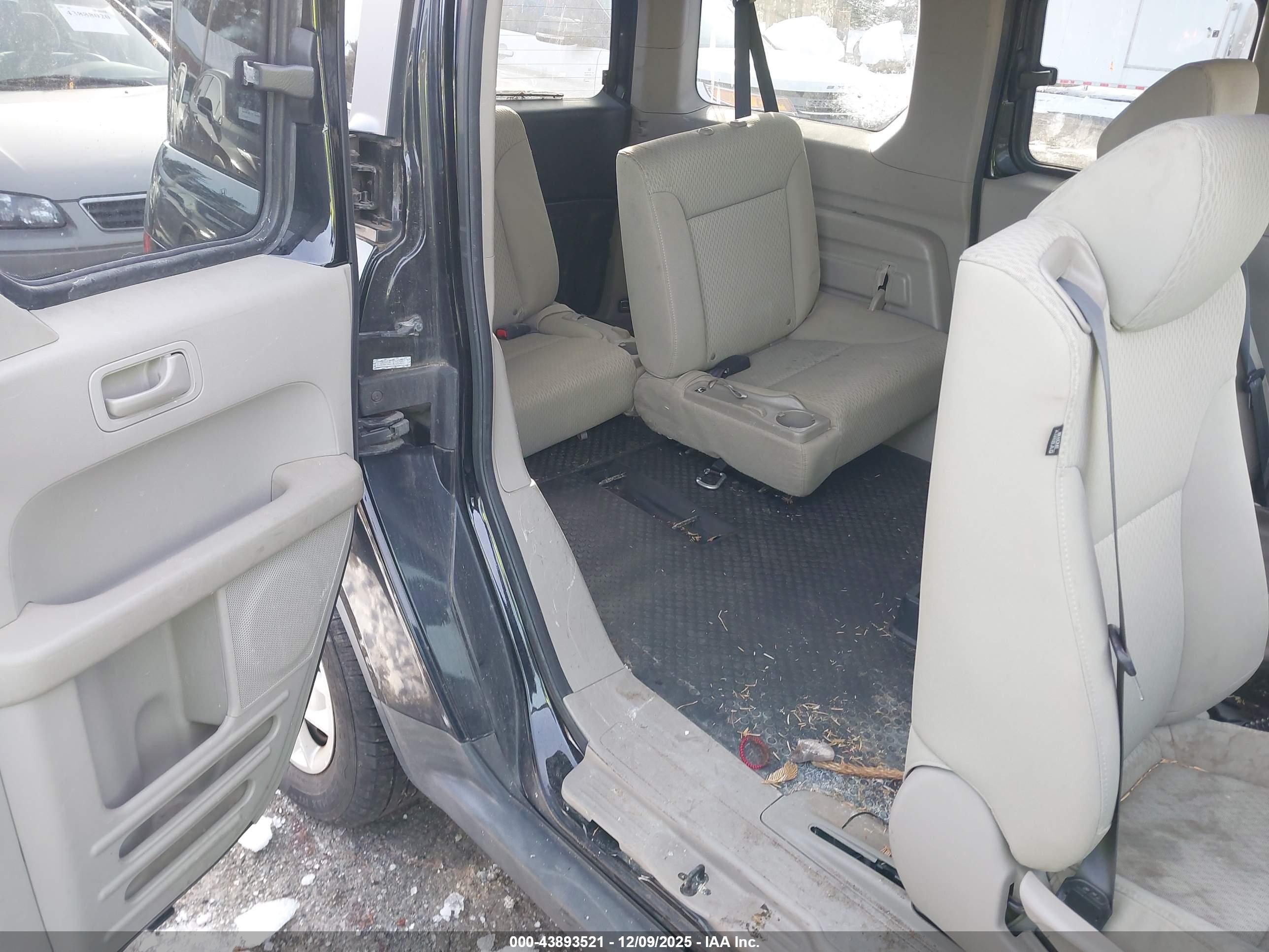 HONDA ELEMENT image 8