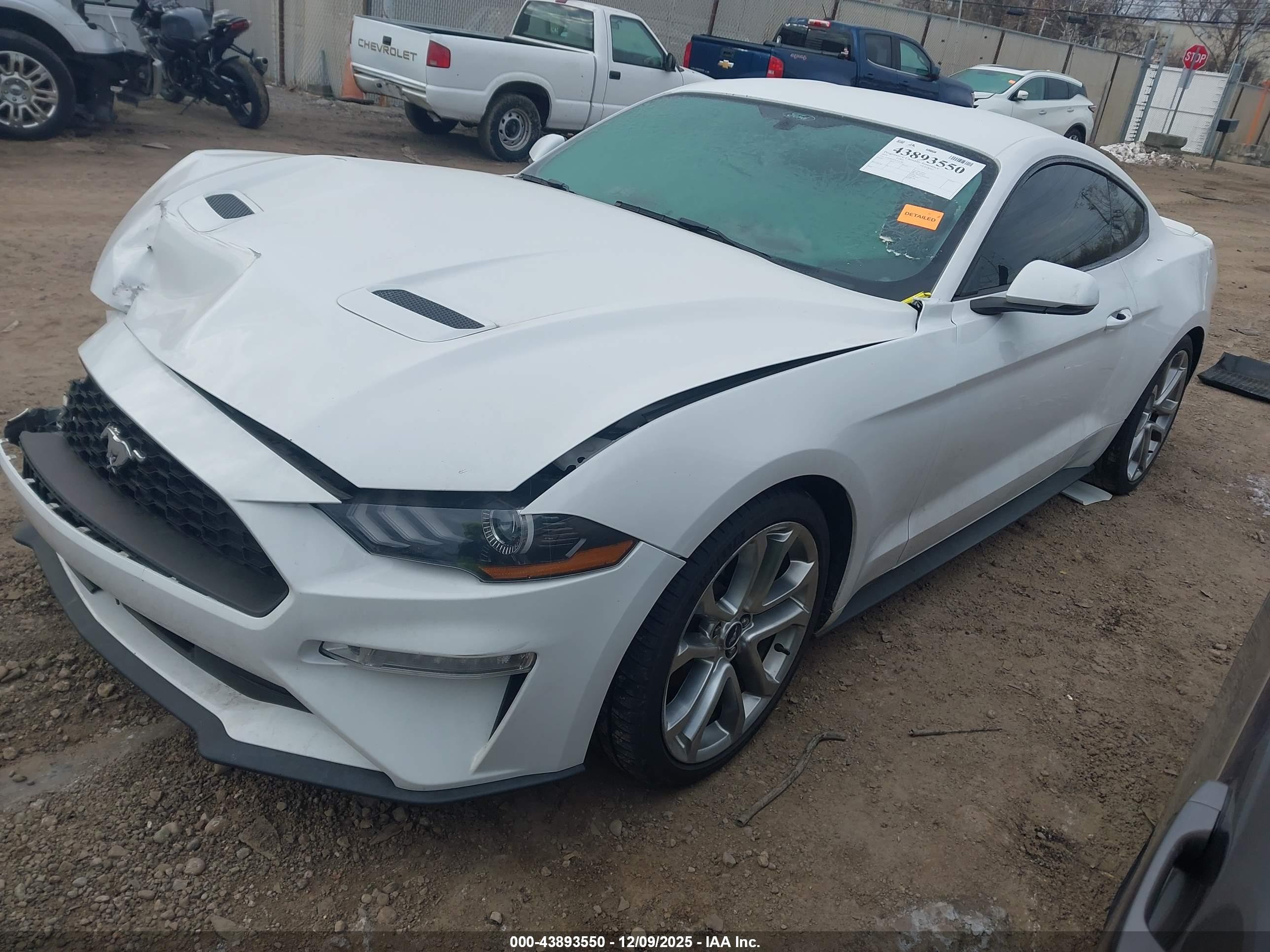 FORD MUSTANG image 2