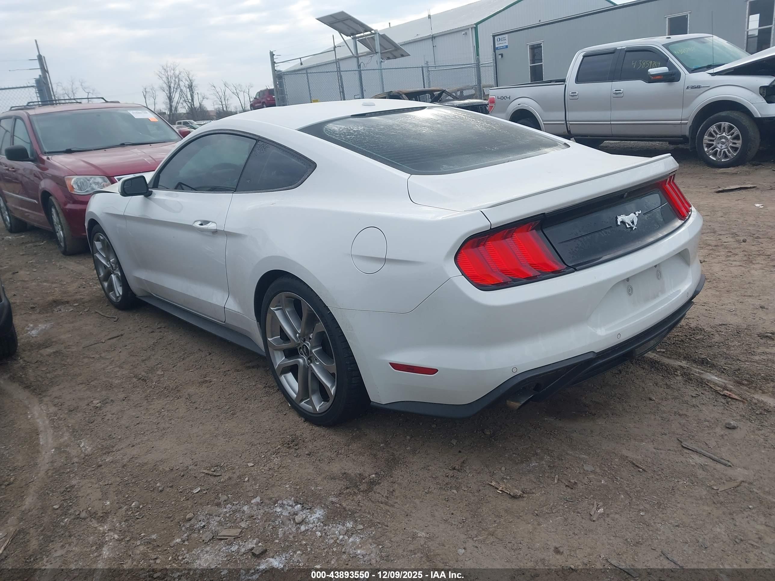 FORD MUSTANG image 3