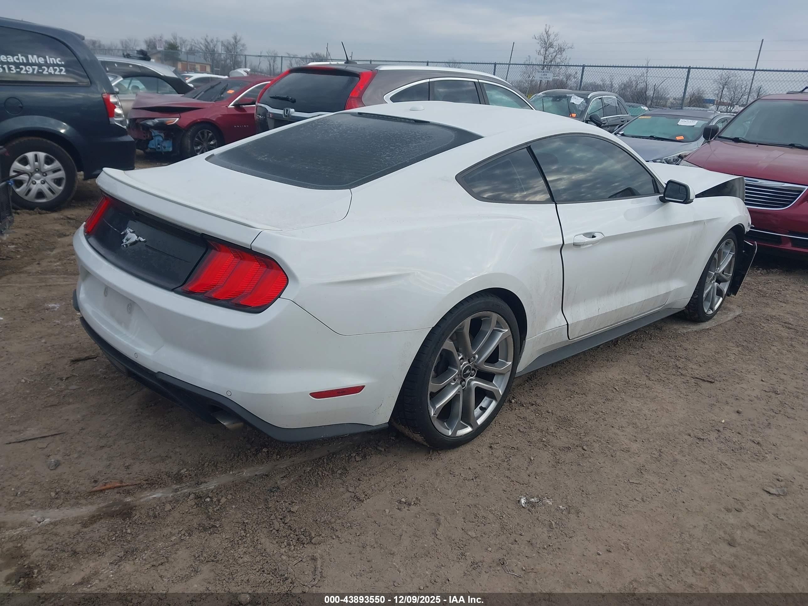 FORD MUSTANG image 4