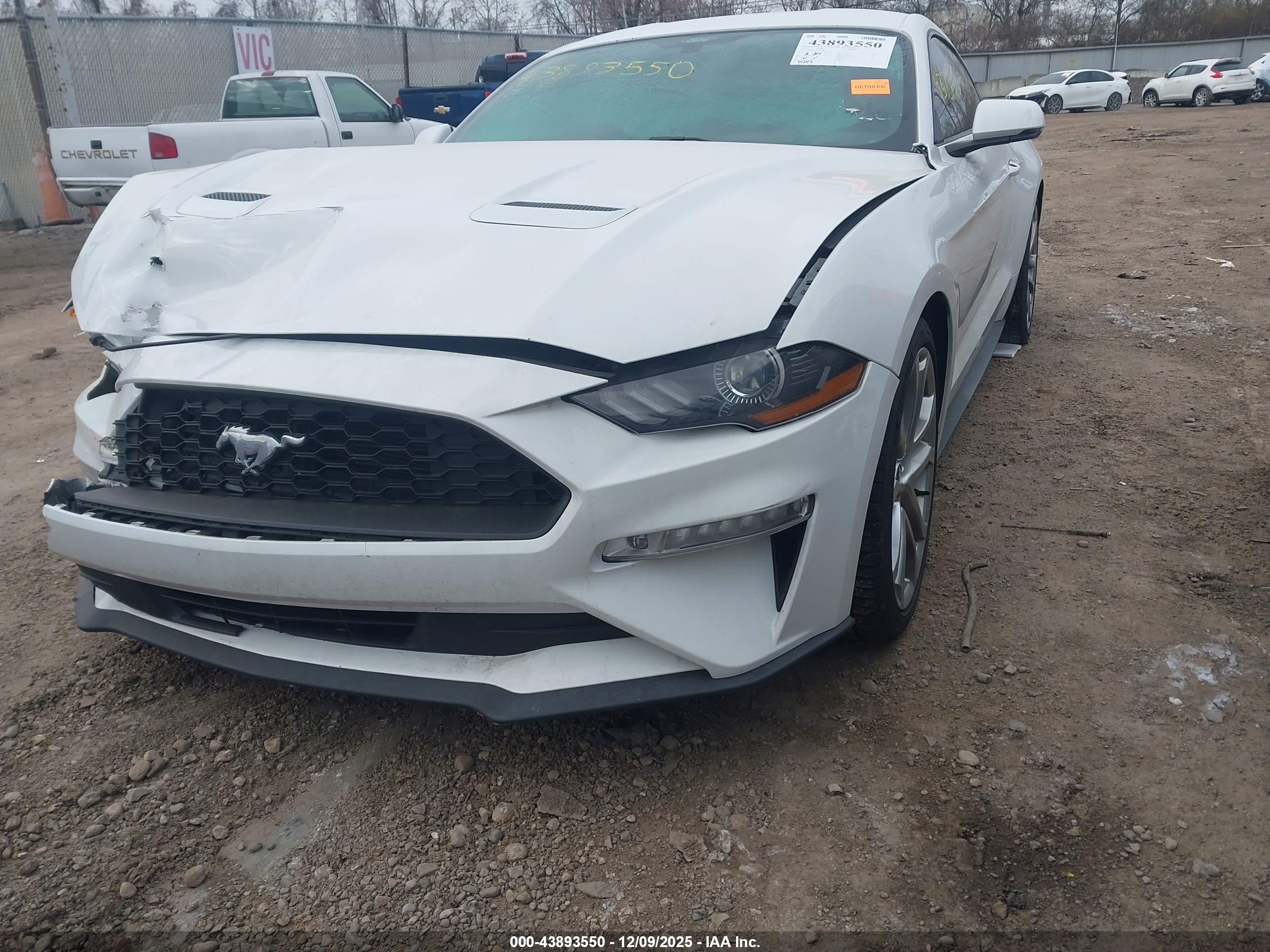 FORD MUSTANG image 6