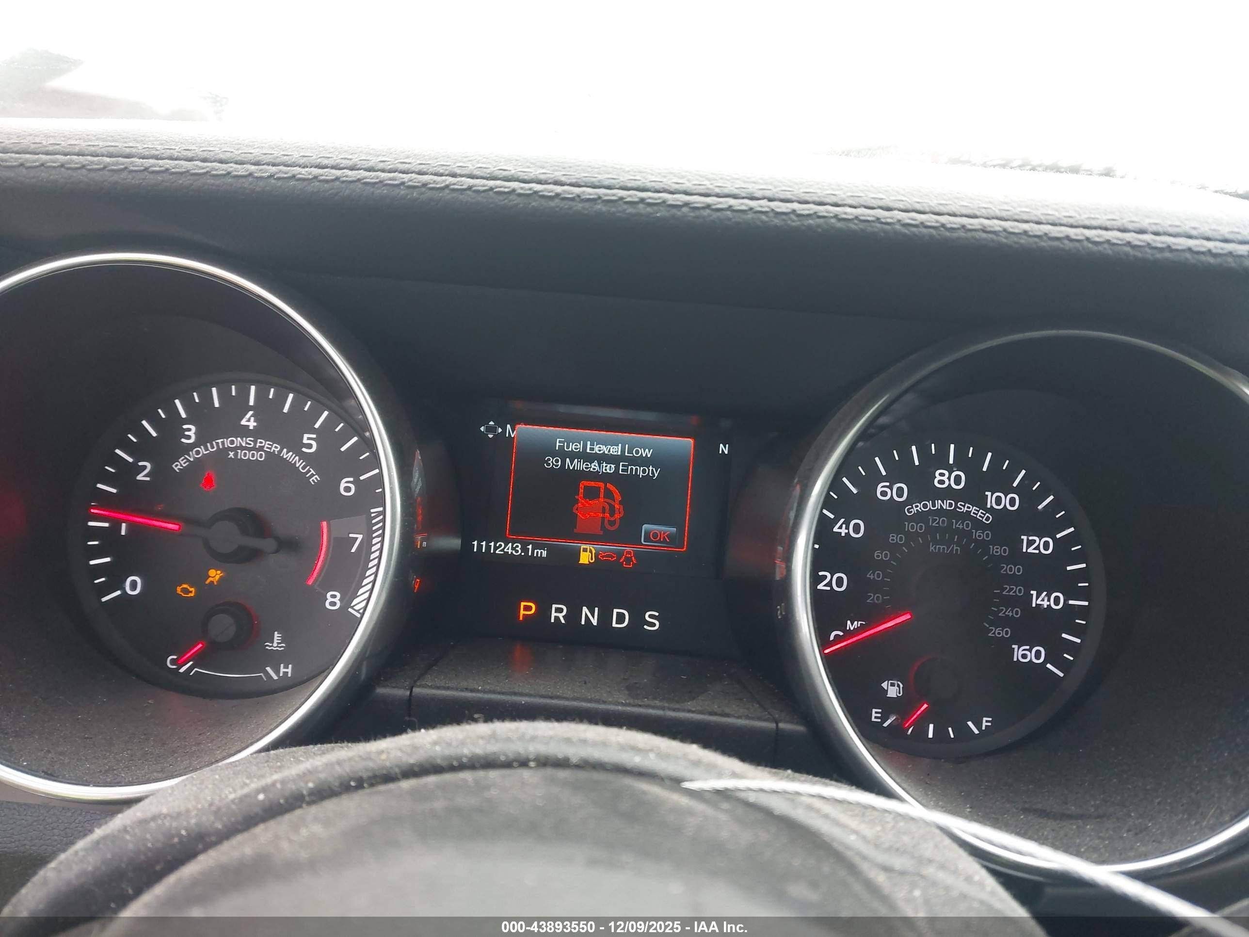 FORD MUSTANG image 7