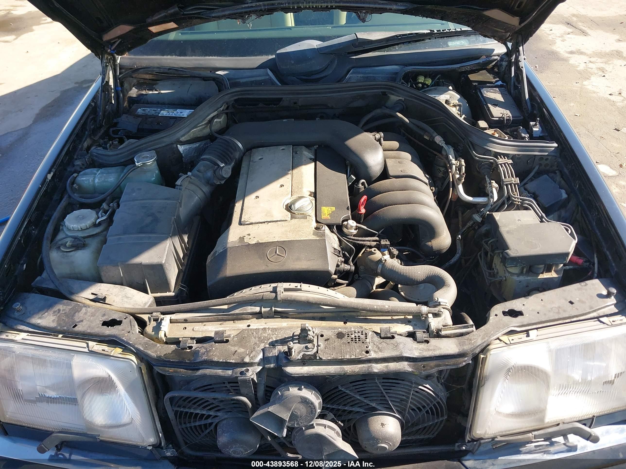 MERCEDES-BENZ E image 10