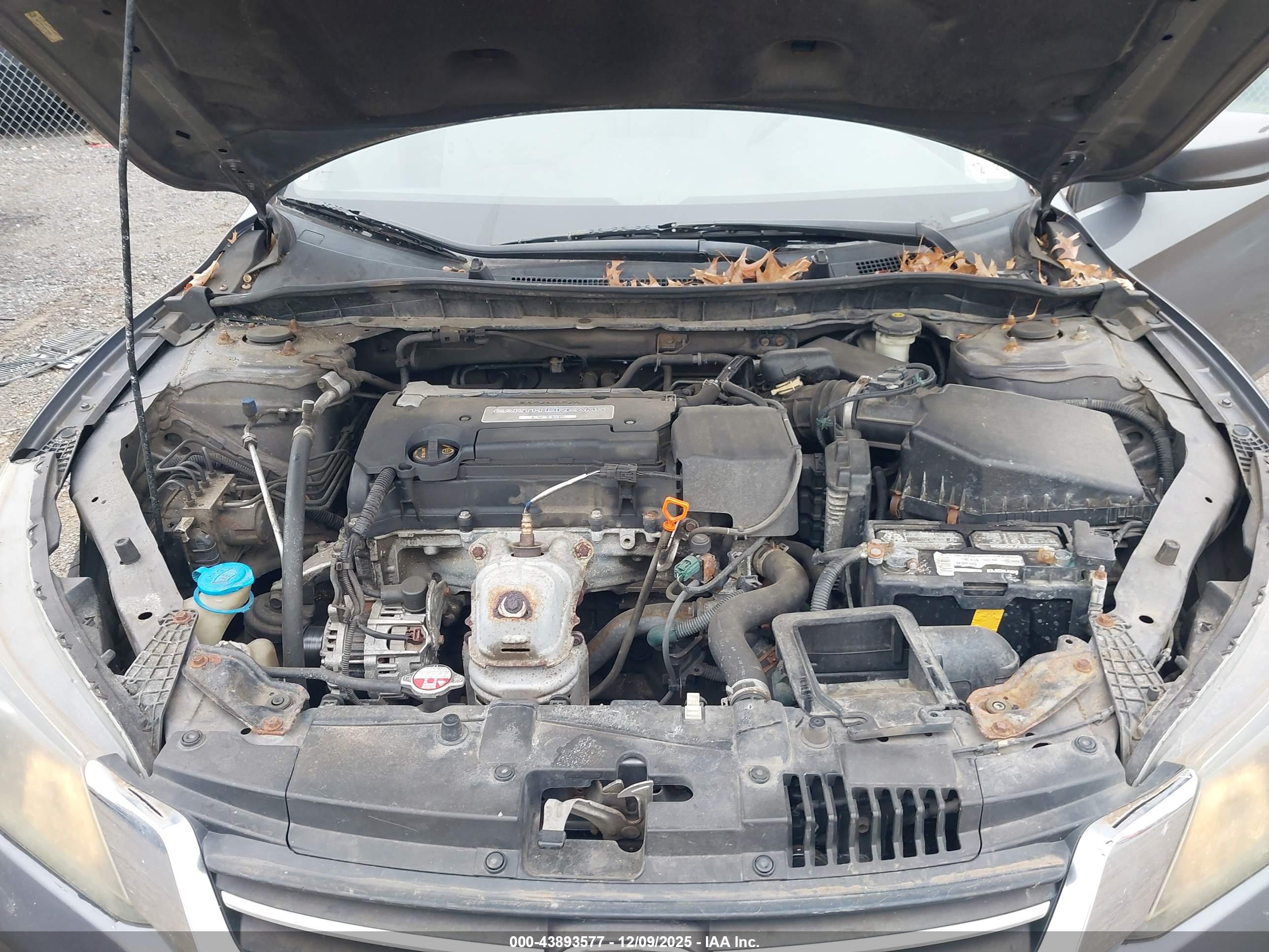 HONDA ACCORD image 10