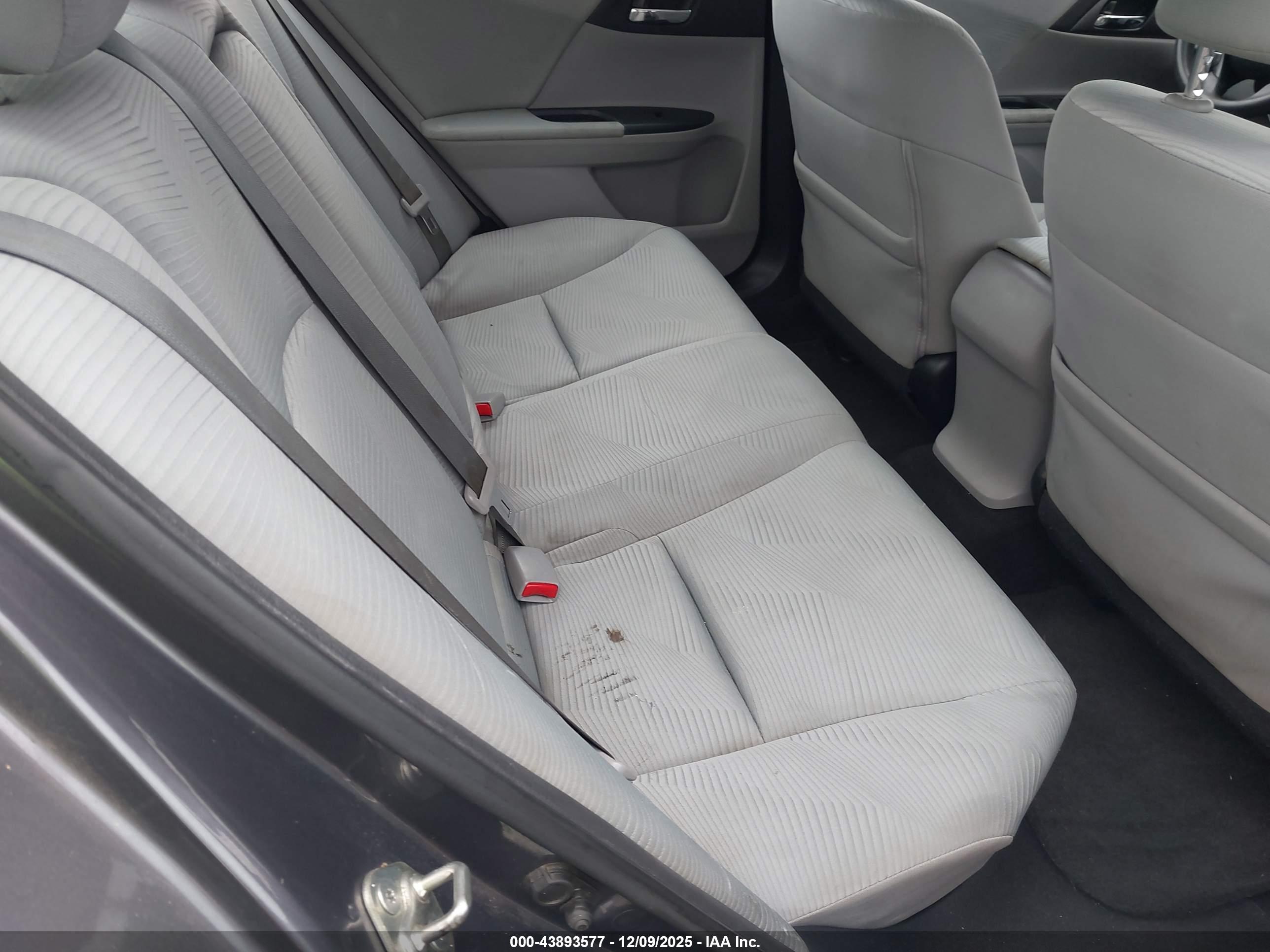 HONDA ACCORD image 8