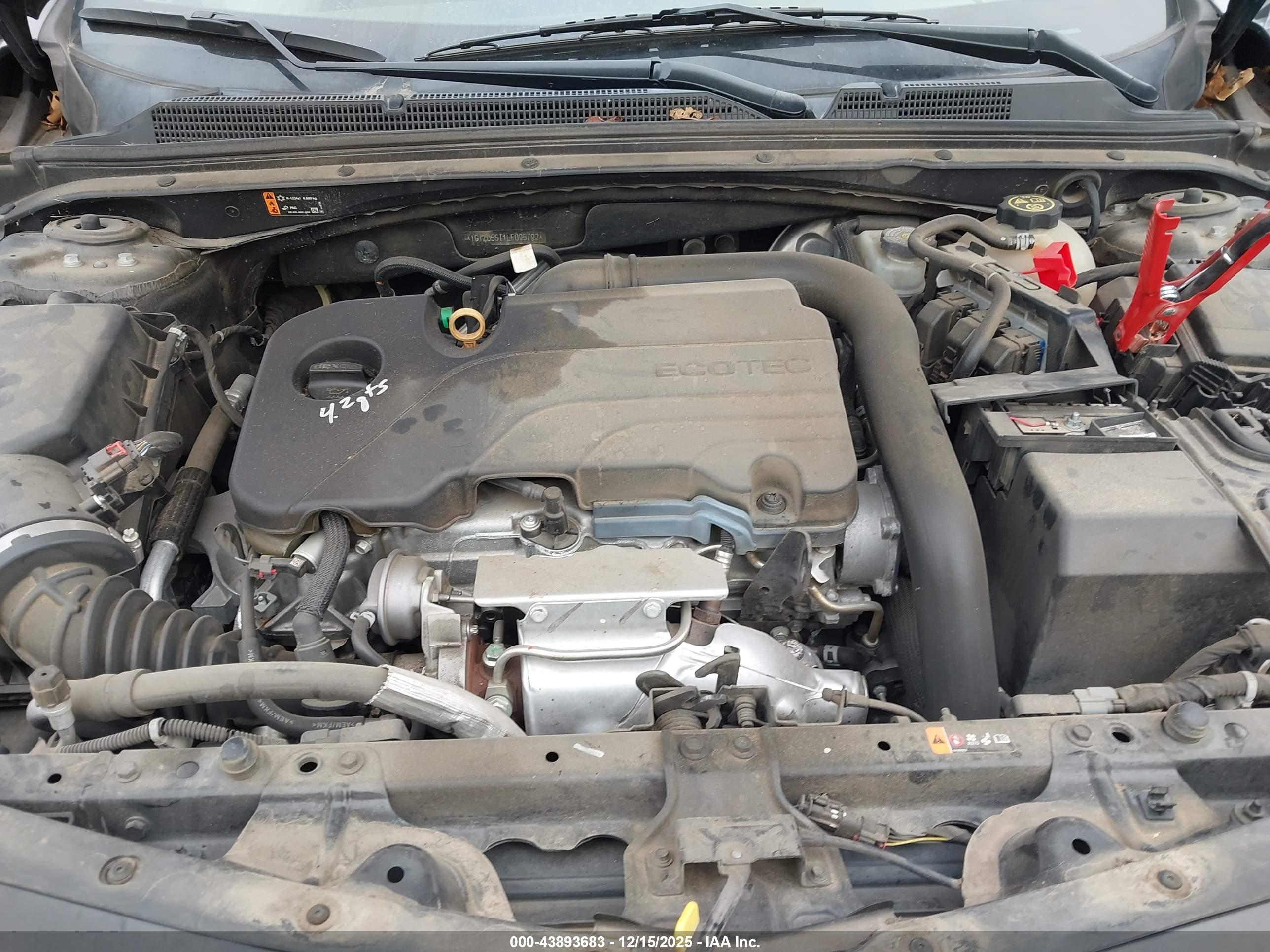 CHEVROLET MALIBU image 10