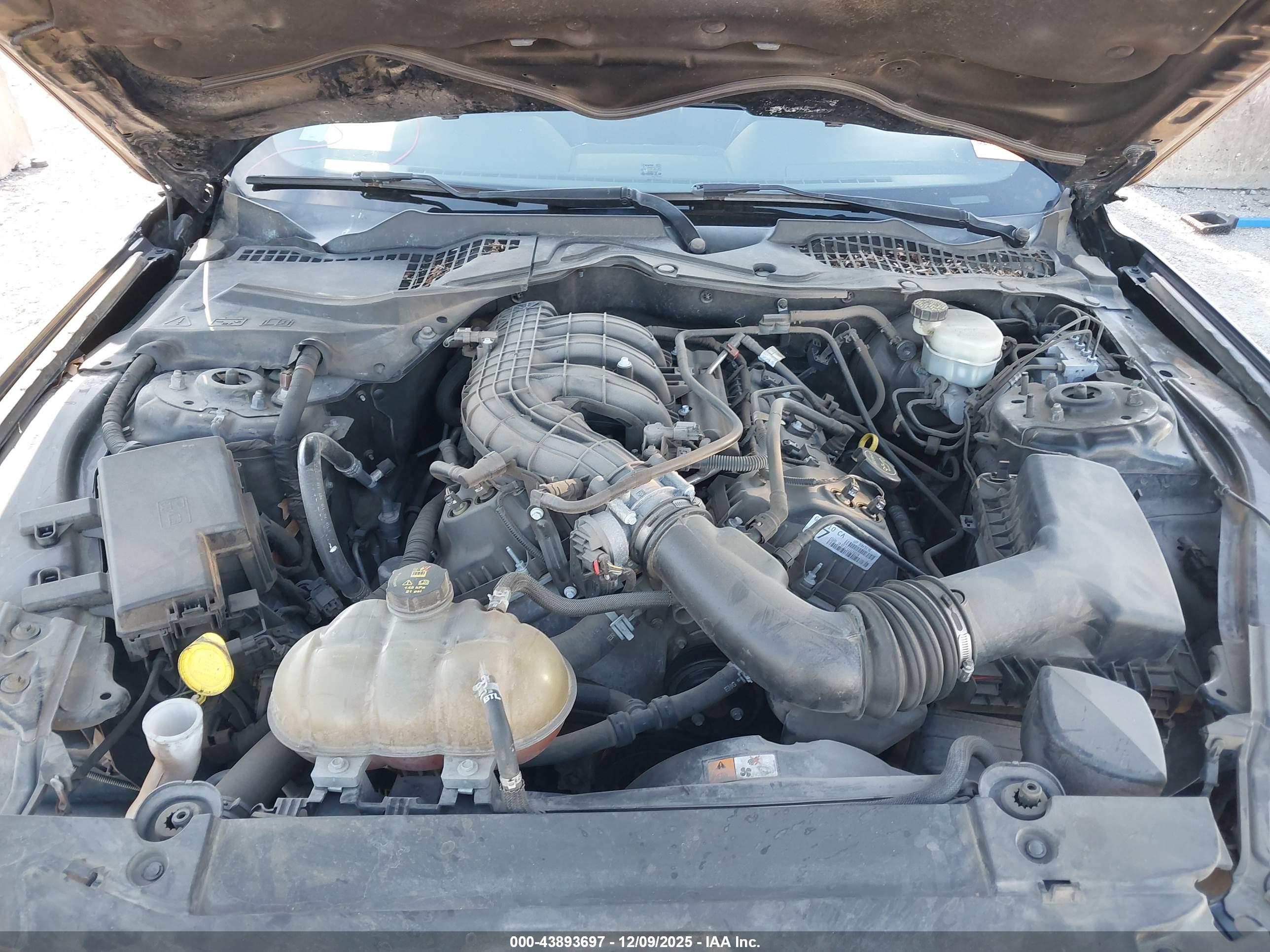 FORD MUSTANG image 10