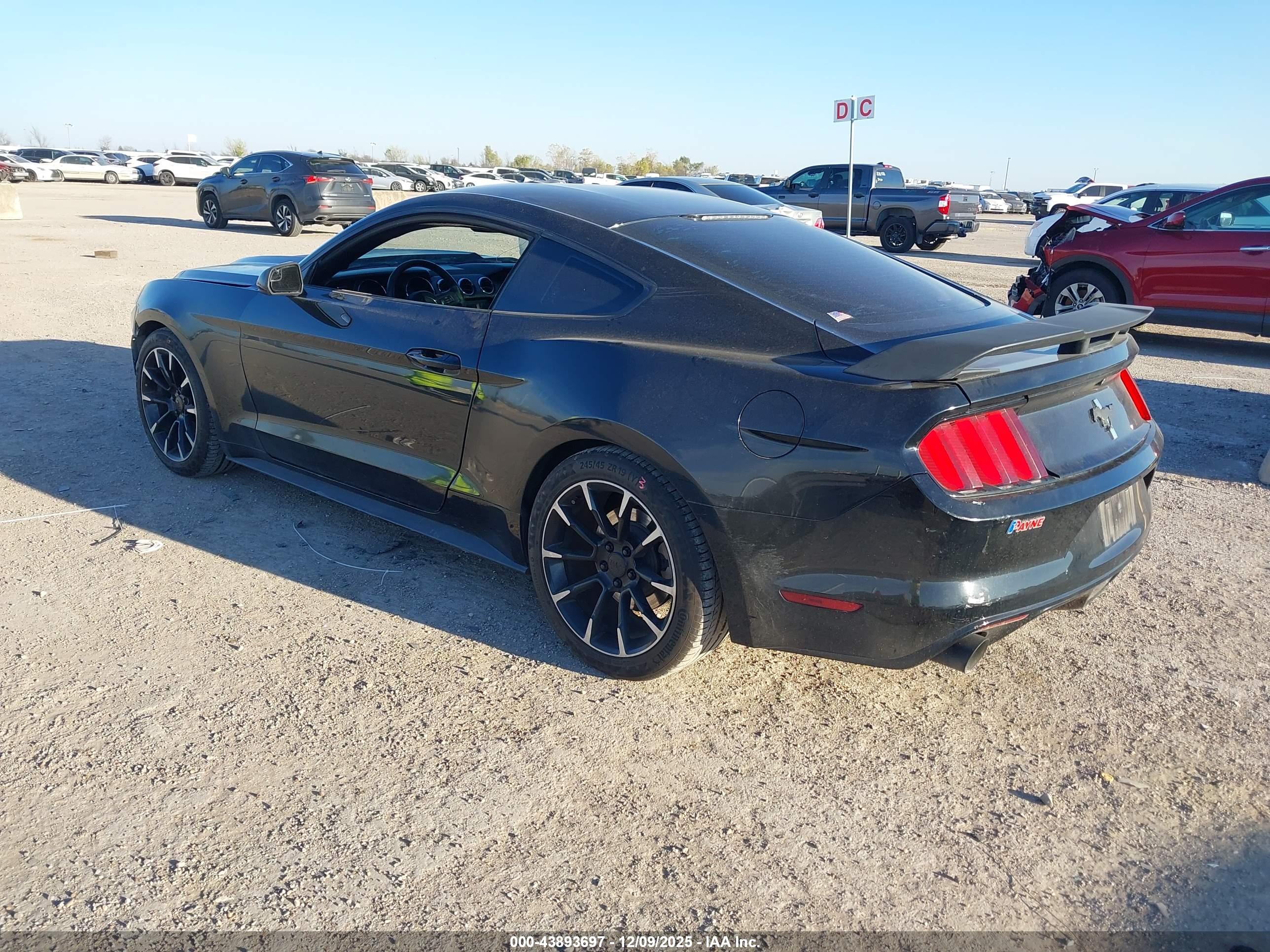 FORD MUSTANG image 3