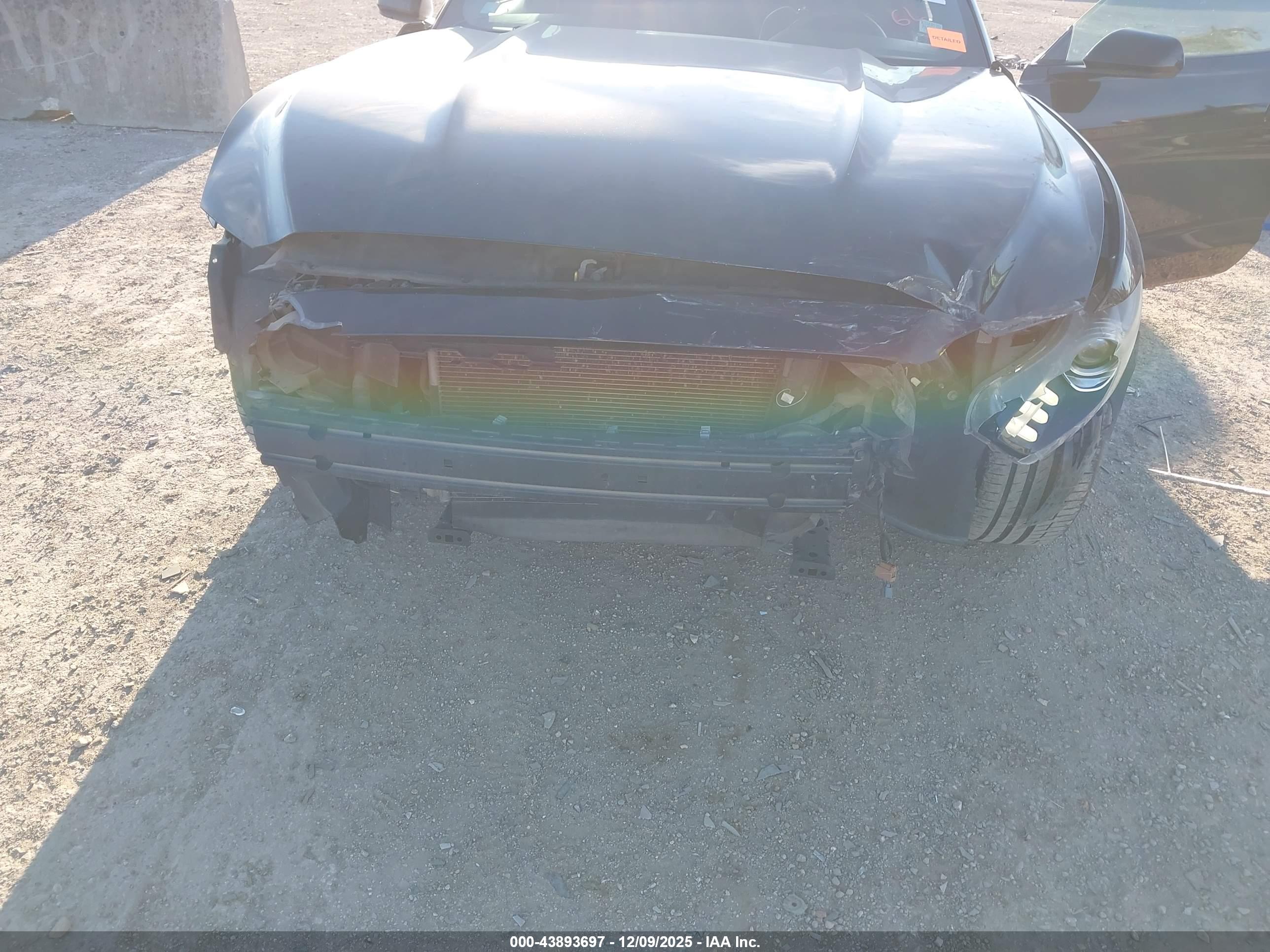 FORD MUSTANG image 6
