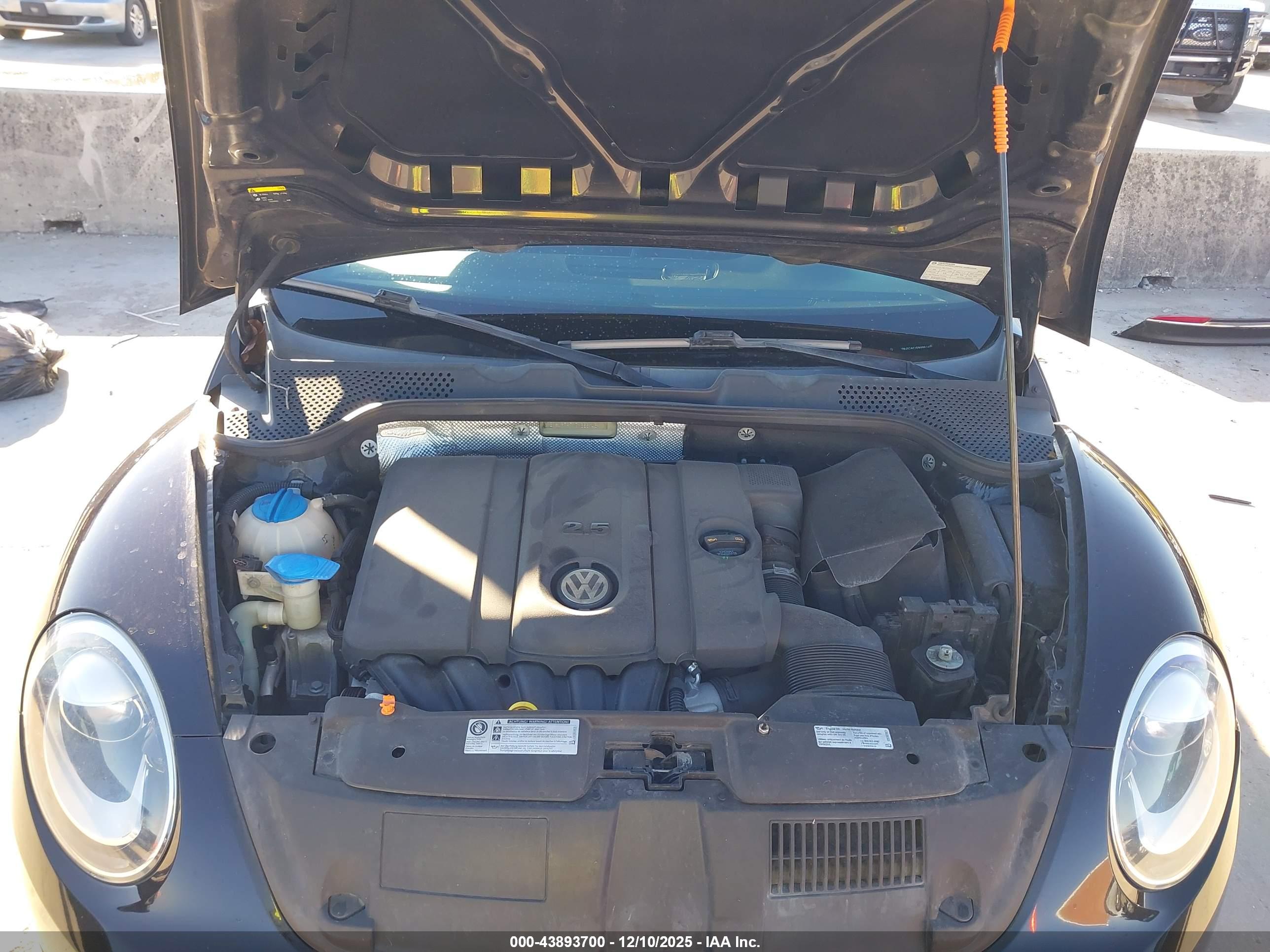 VOLKSWAGEN BEETLE image 10