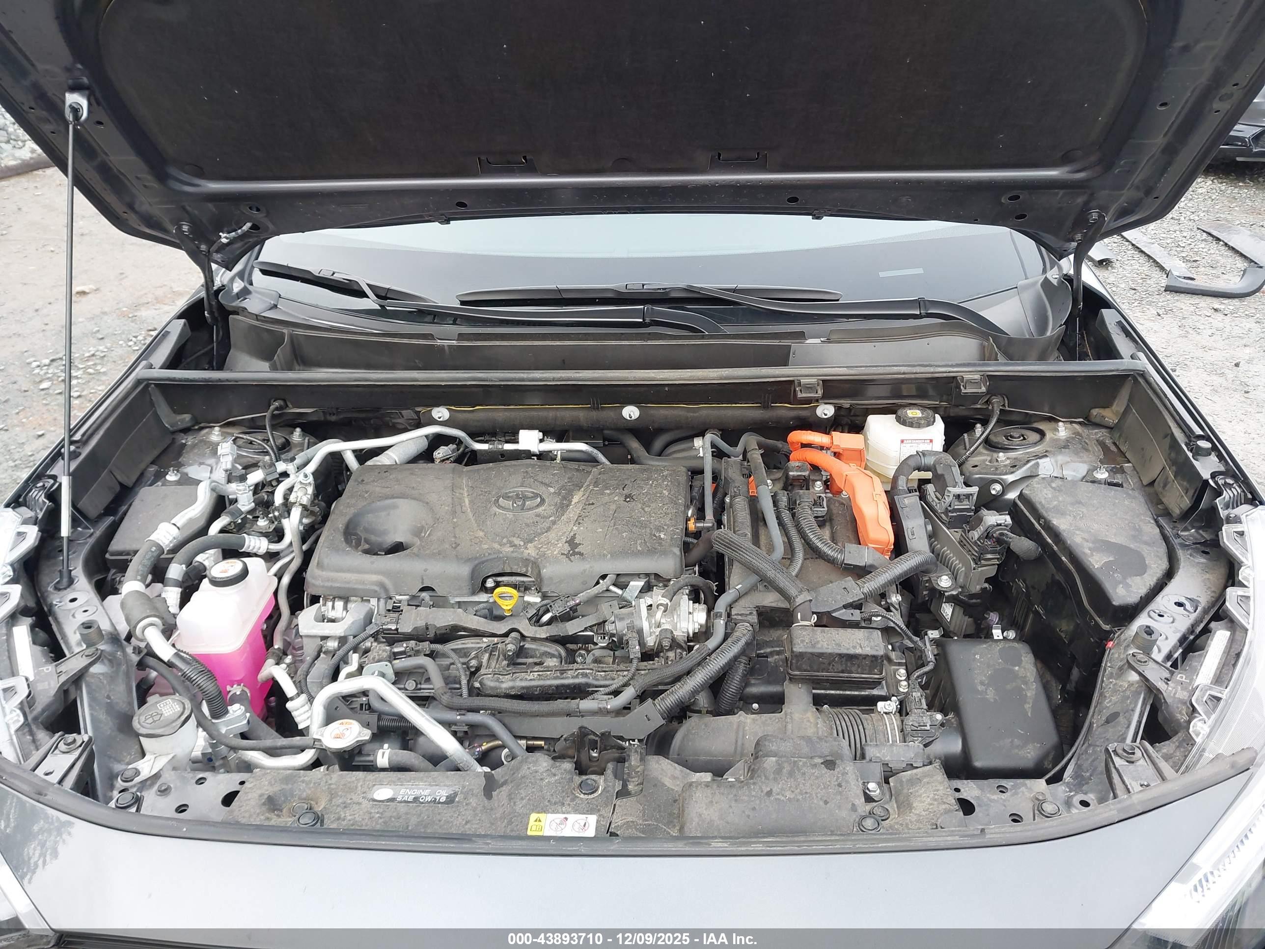 TOYOTA RAV4 image 10
