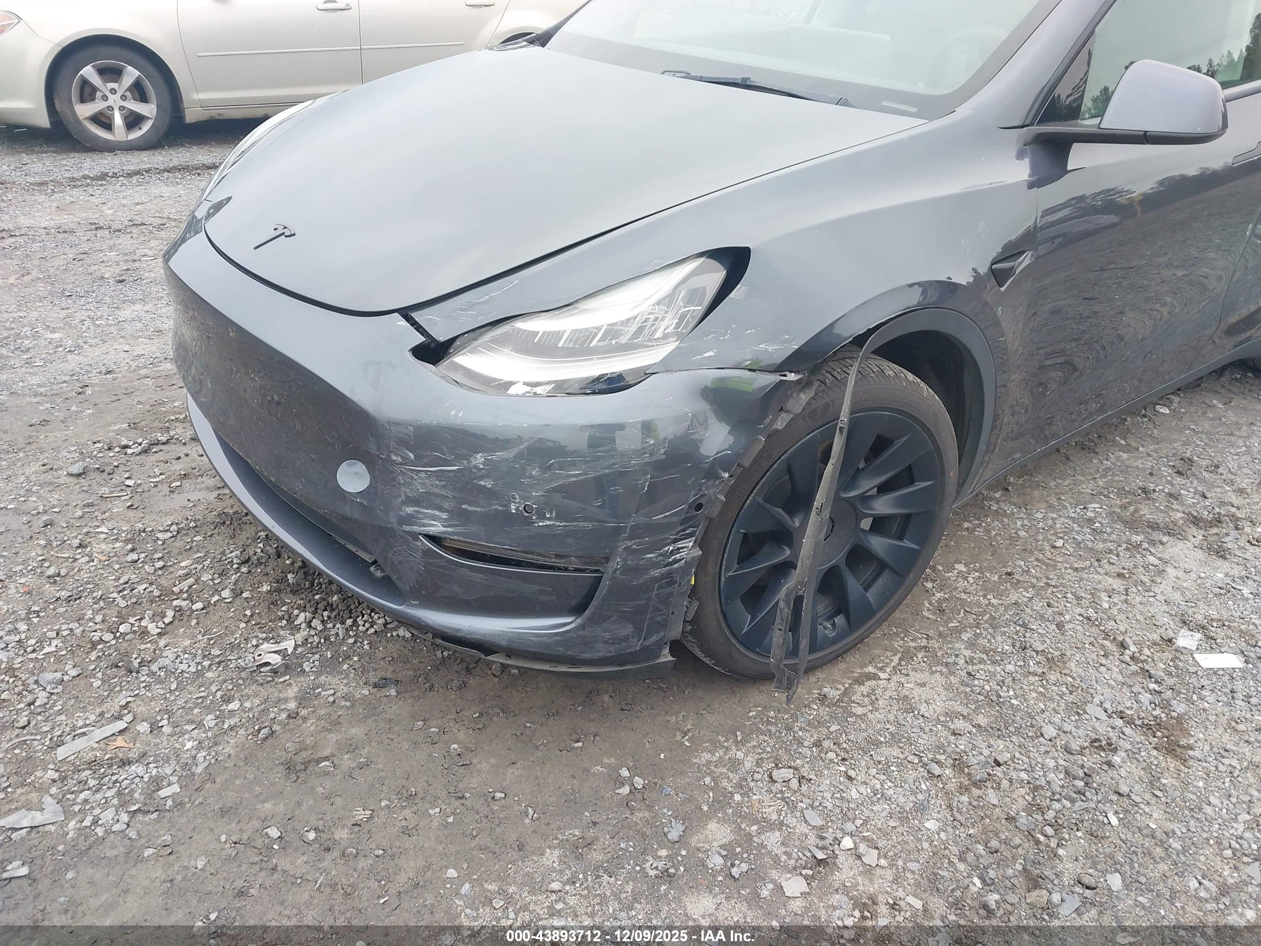 TESLA MODEL image 6