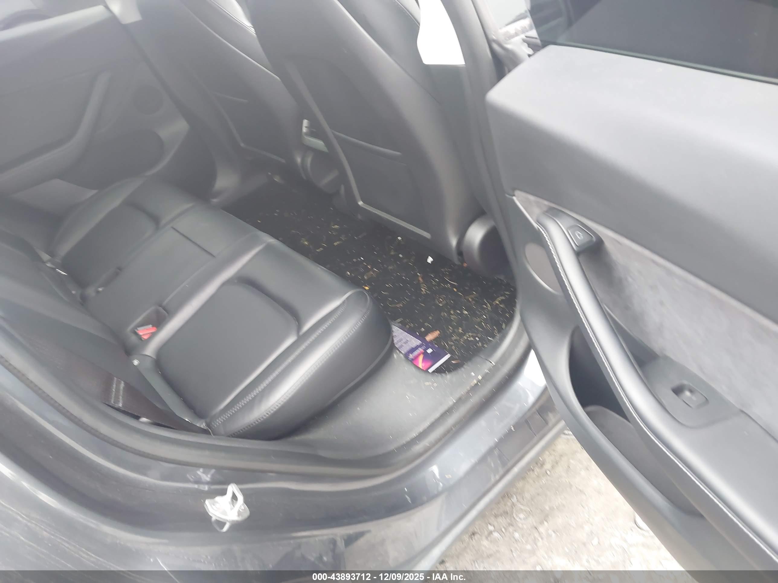 TESLA MODEL image 8