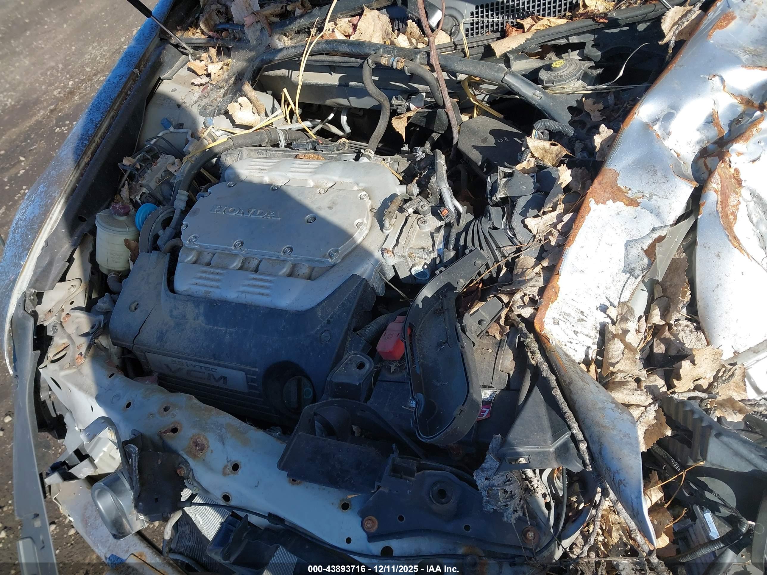 HONDA ACCORD image 10