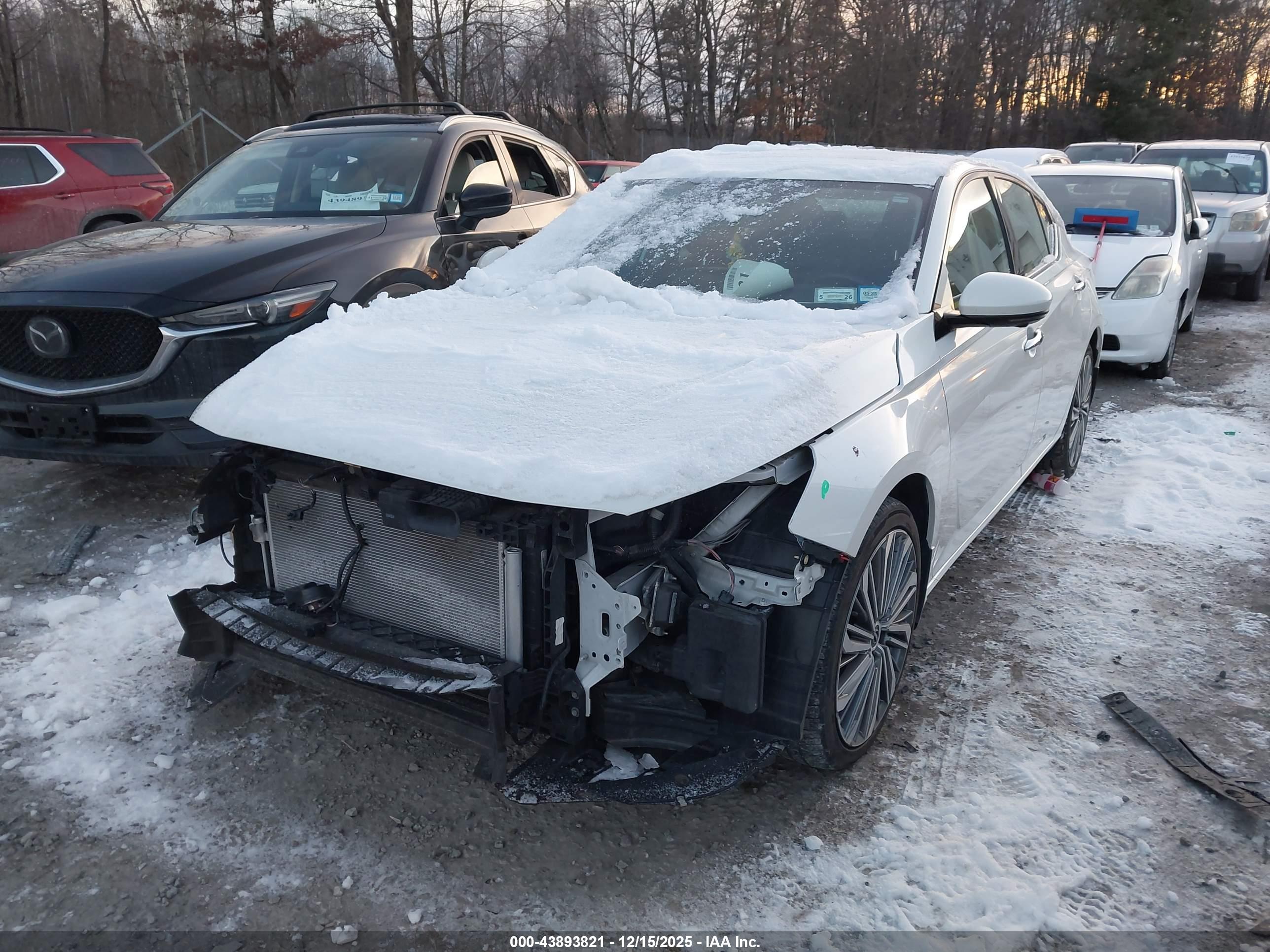 NISSAN ALTIMA image 6