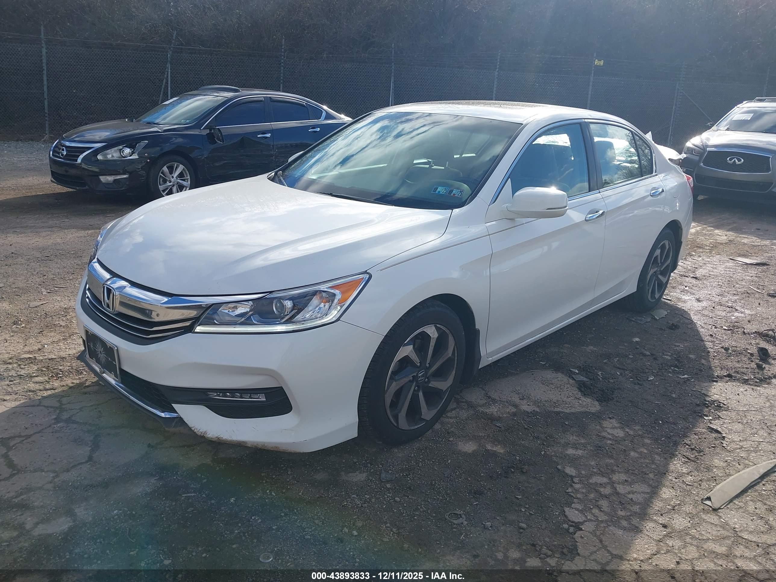 HONDA ACCORD image 2