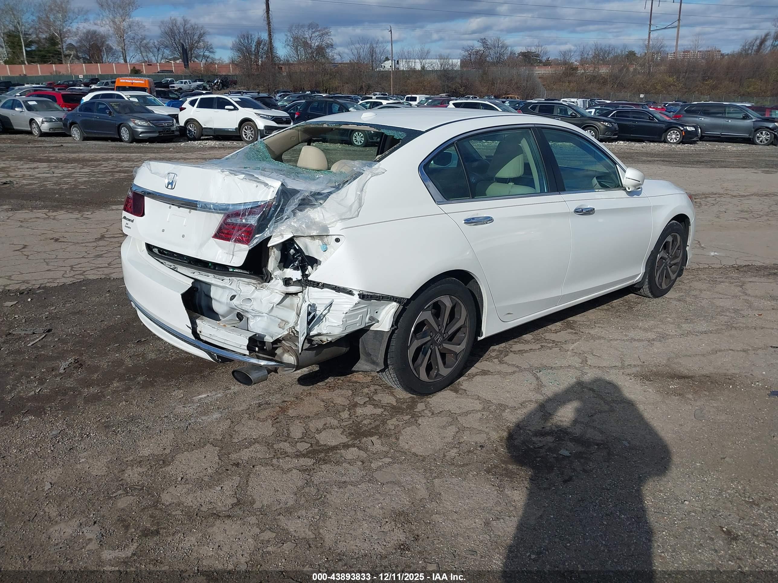 HONDA ACCORD image 4