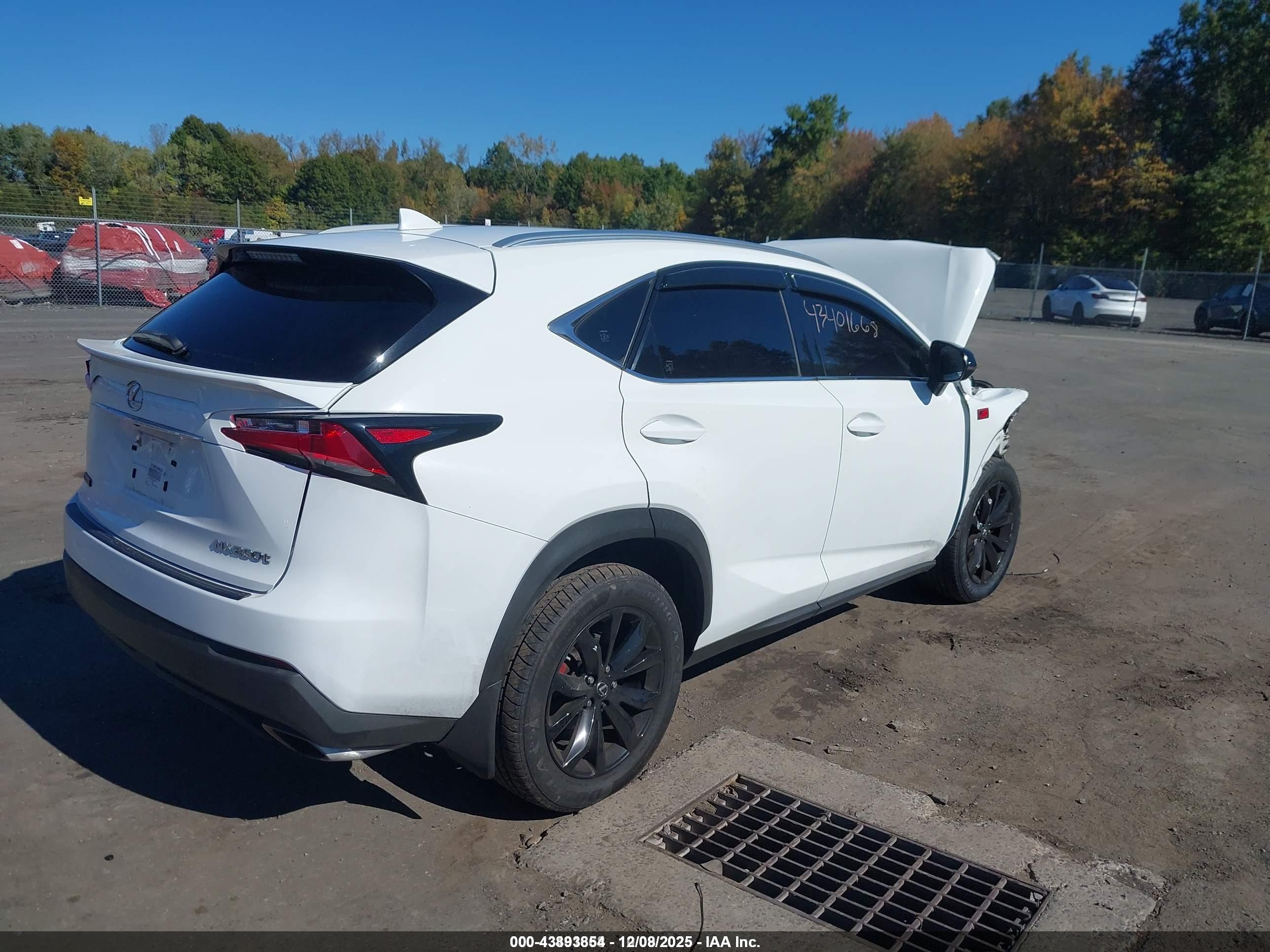 LEXUS NX image 4