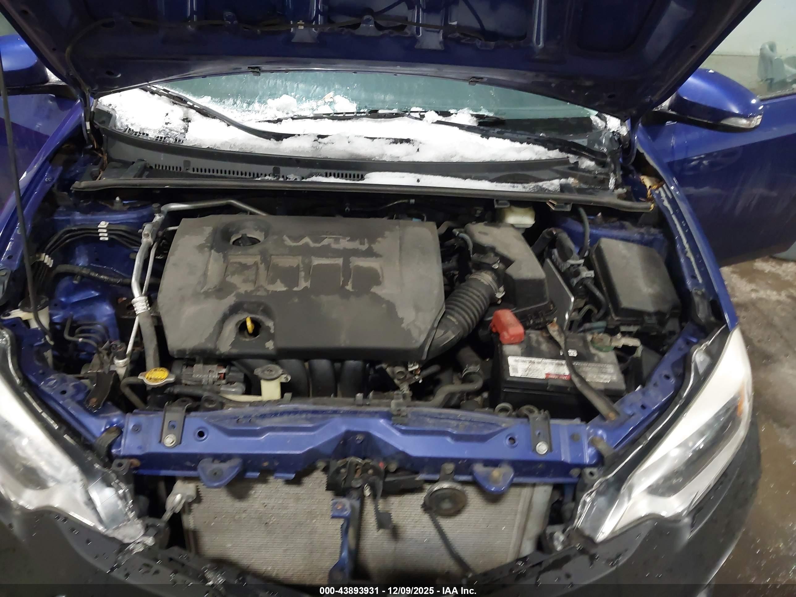 TOYOTA COROLLA image 10