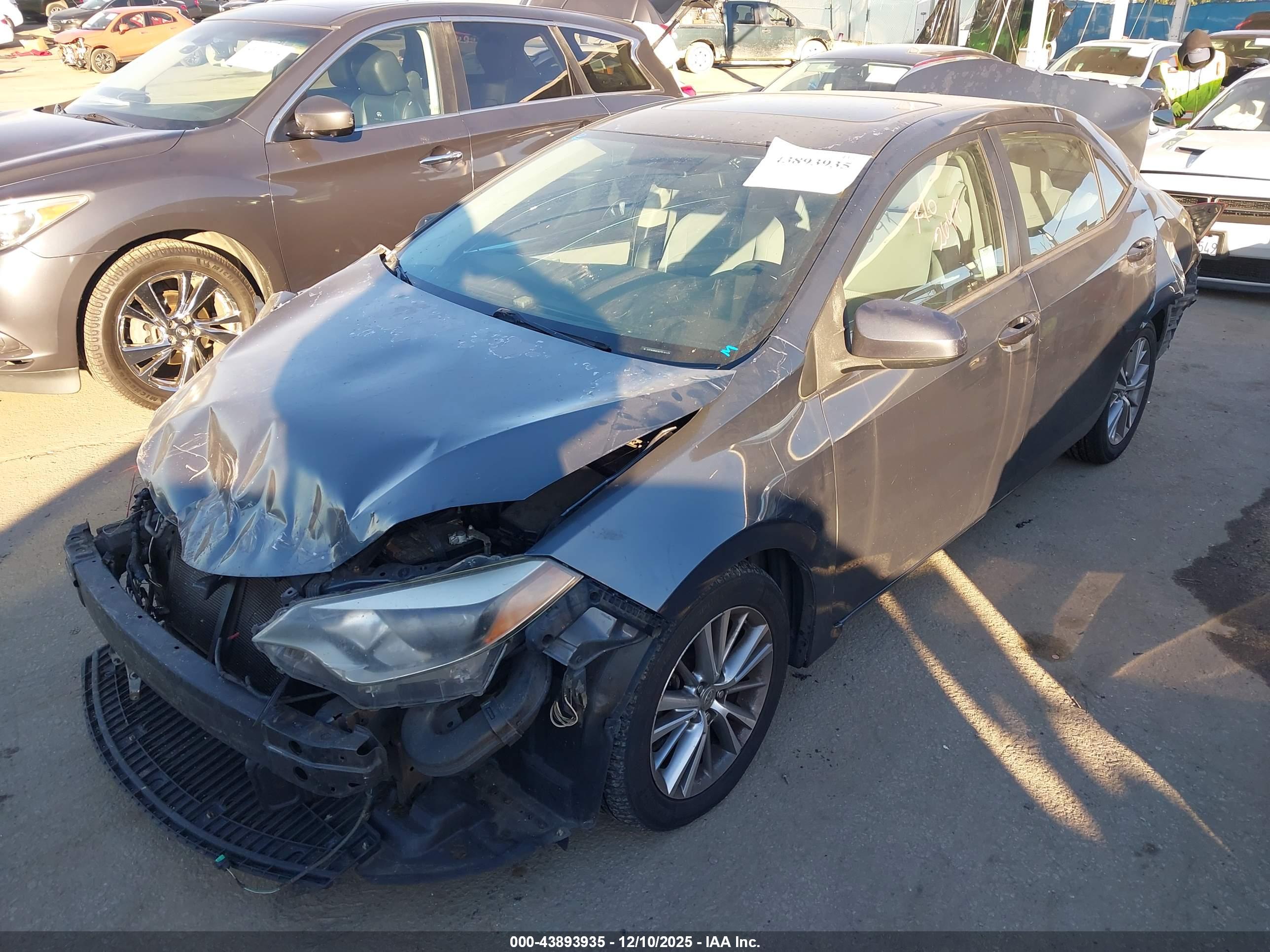 TOYOTA COROLLA image 2