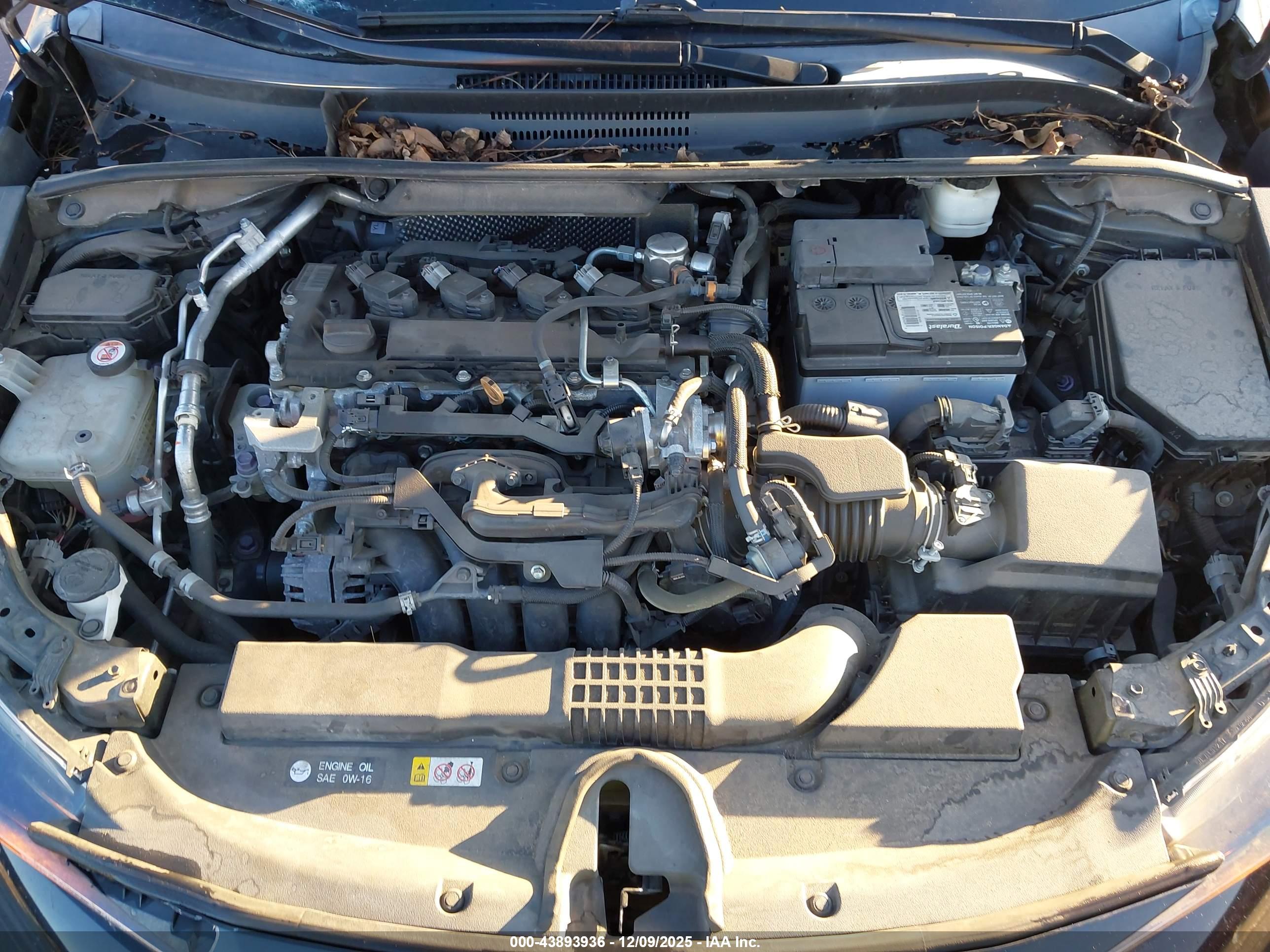 TOYOTA COROLLA image 10