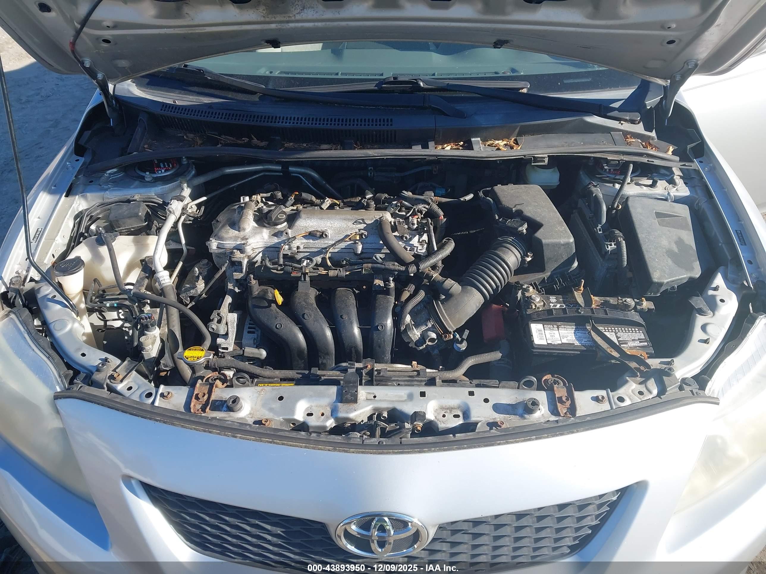 TOYOTA COROLLA image 10