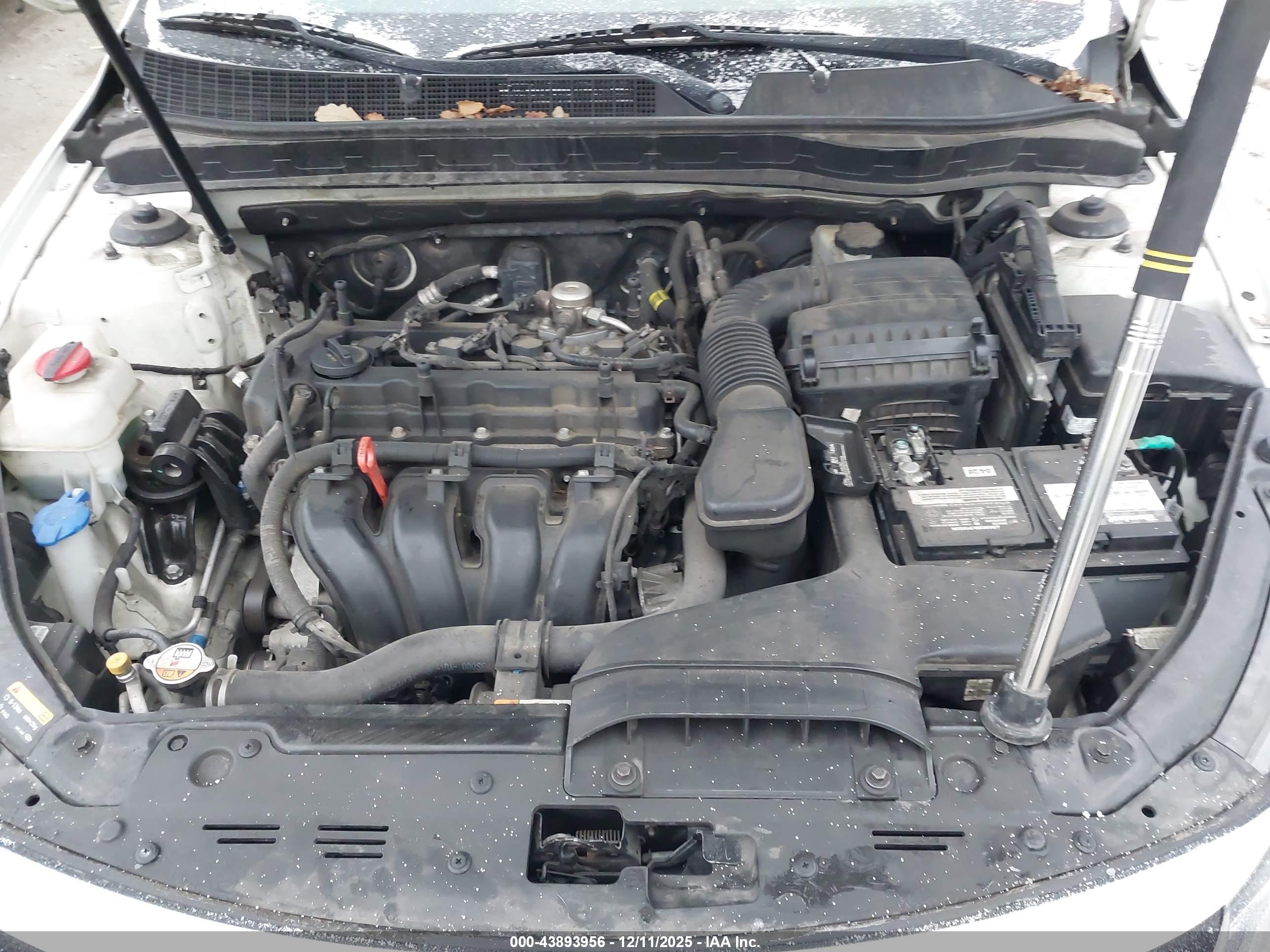 KIA OPTIMA image 10