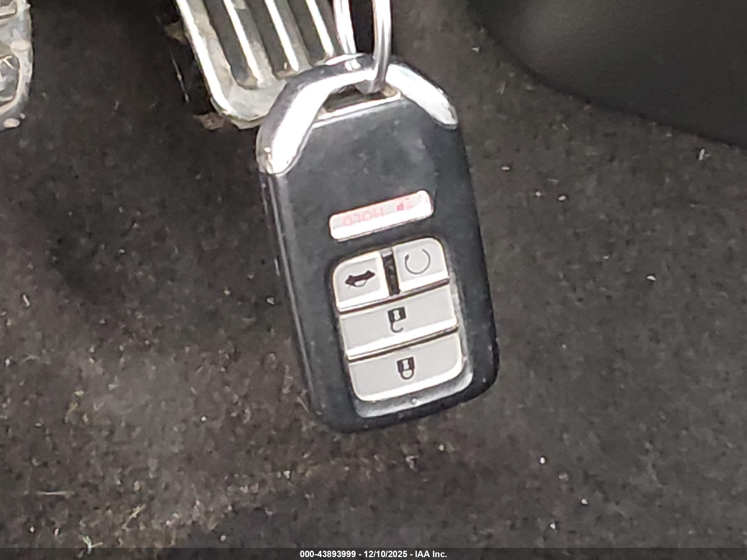 HONDA ACCORD image 11