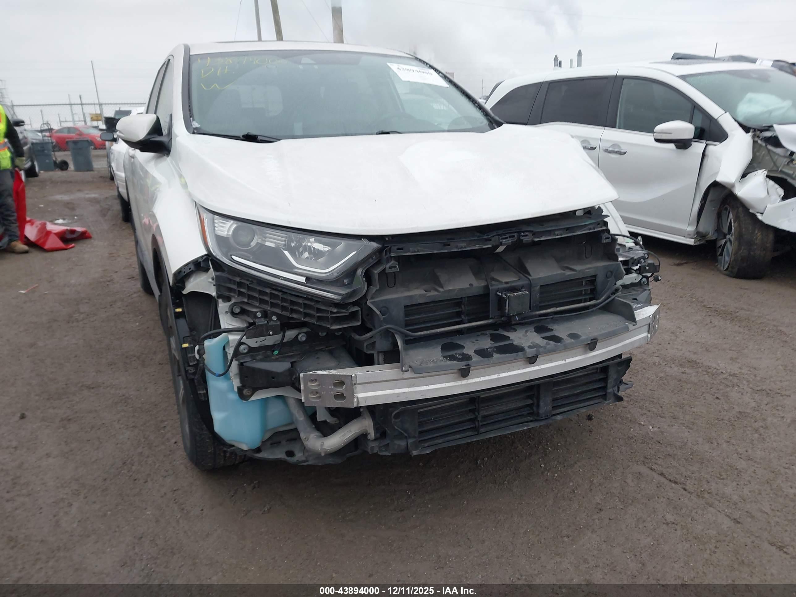 HONDA CR-V image 6