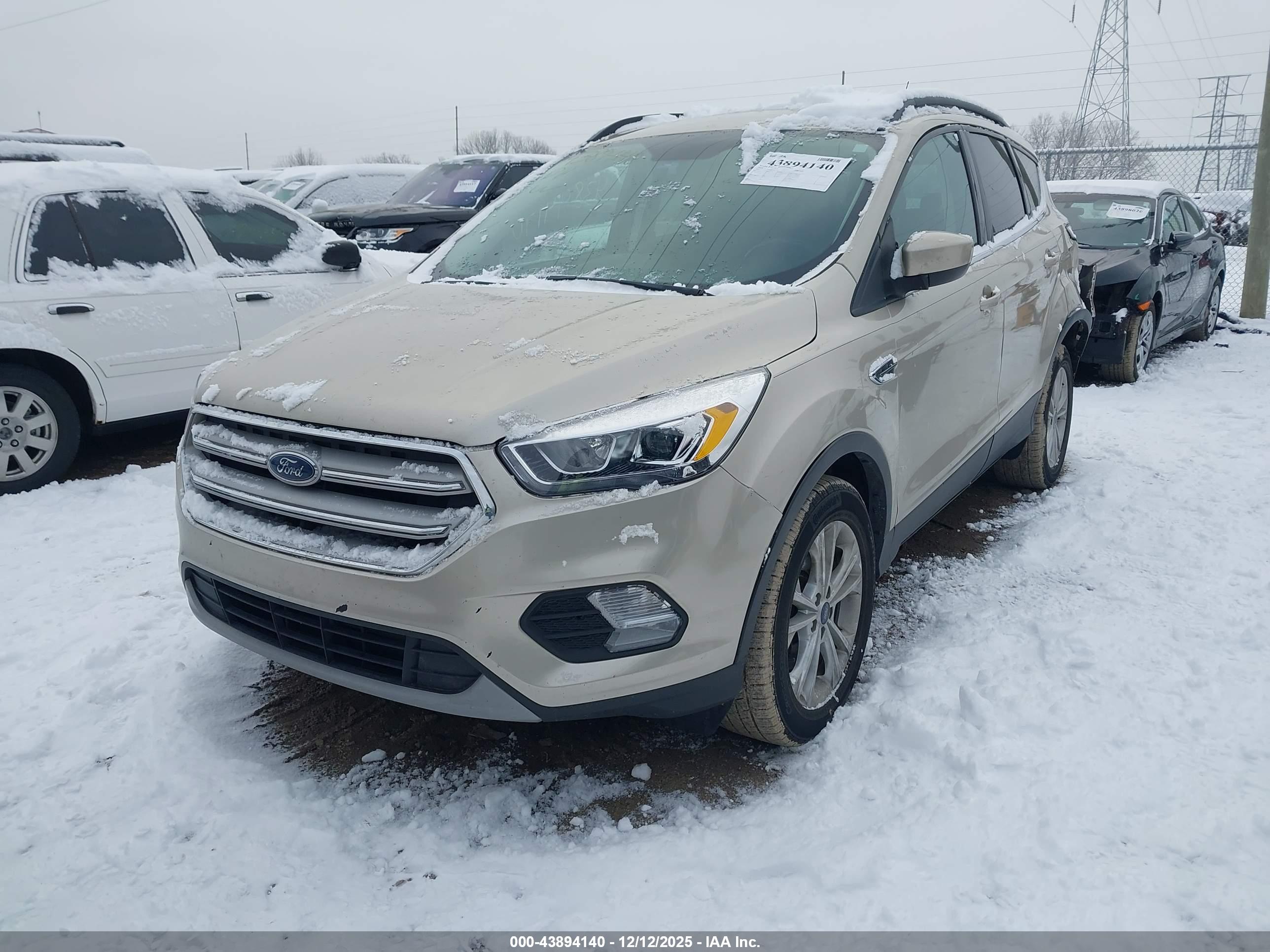 FORD ESCAPE image 2