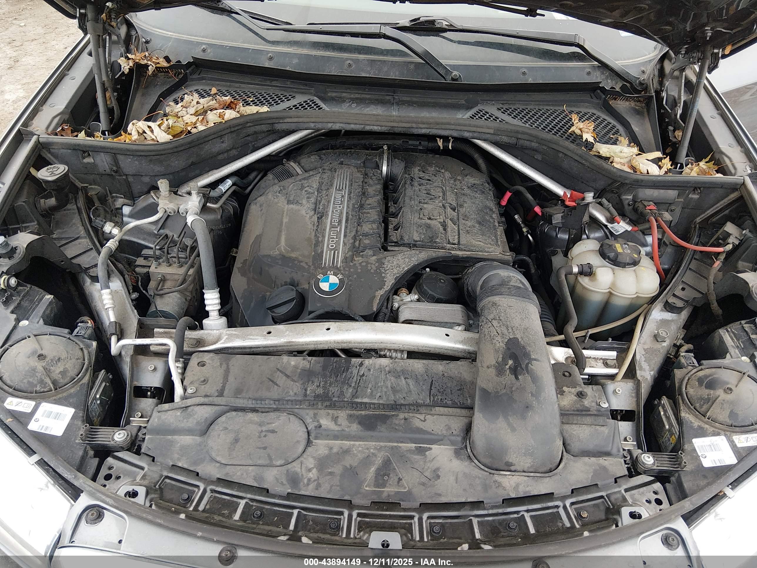 BMW X5 image 10