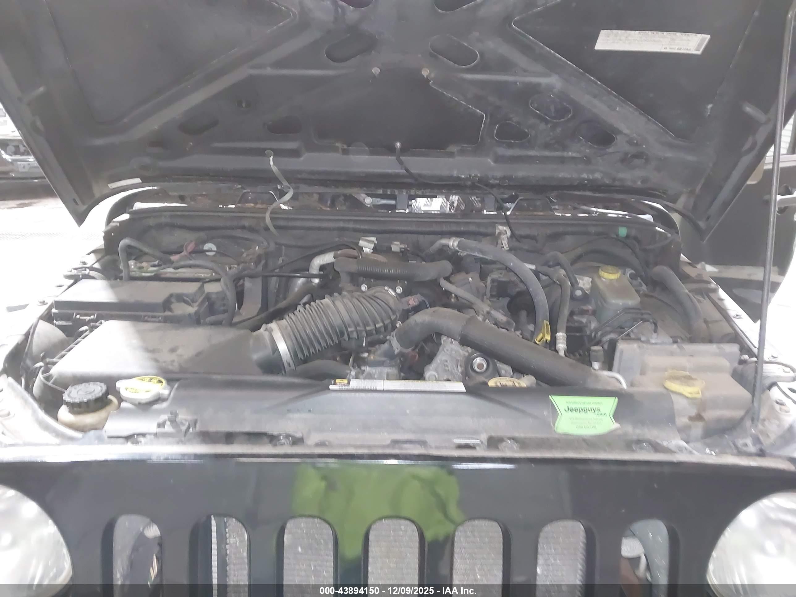JEEP WRANGLER image 10