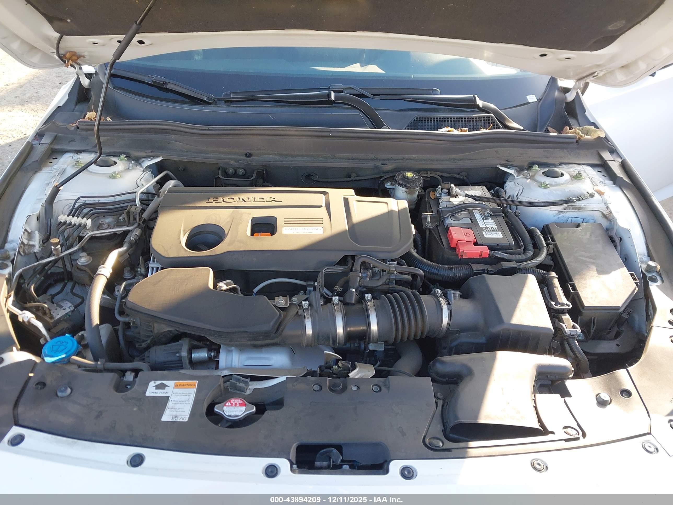 HONDA ACCORD image 10