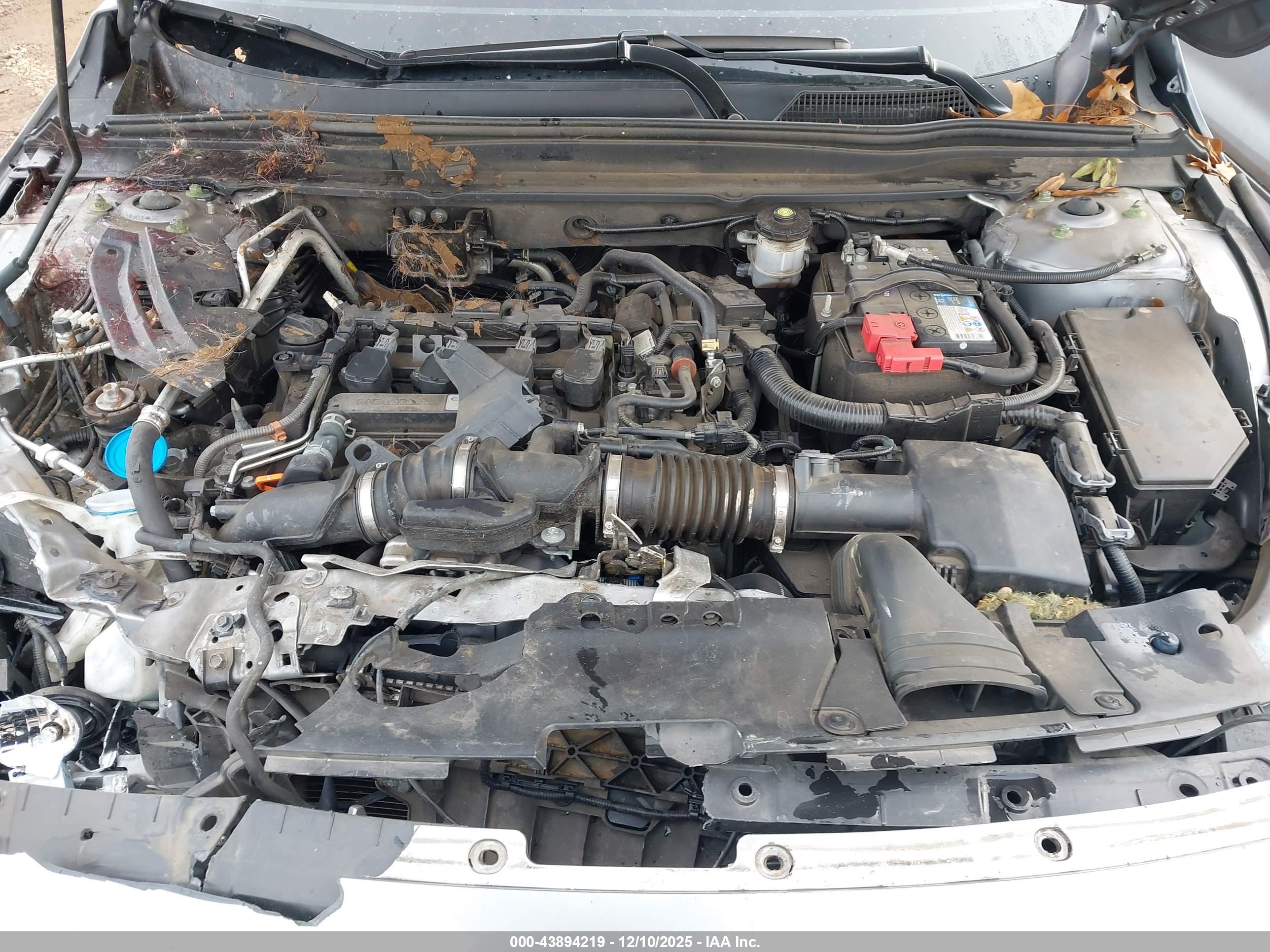 HONDA ACCORD image 10