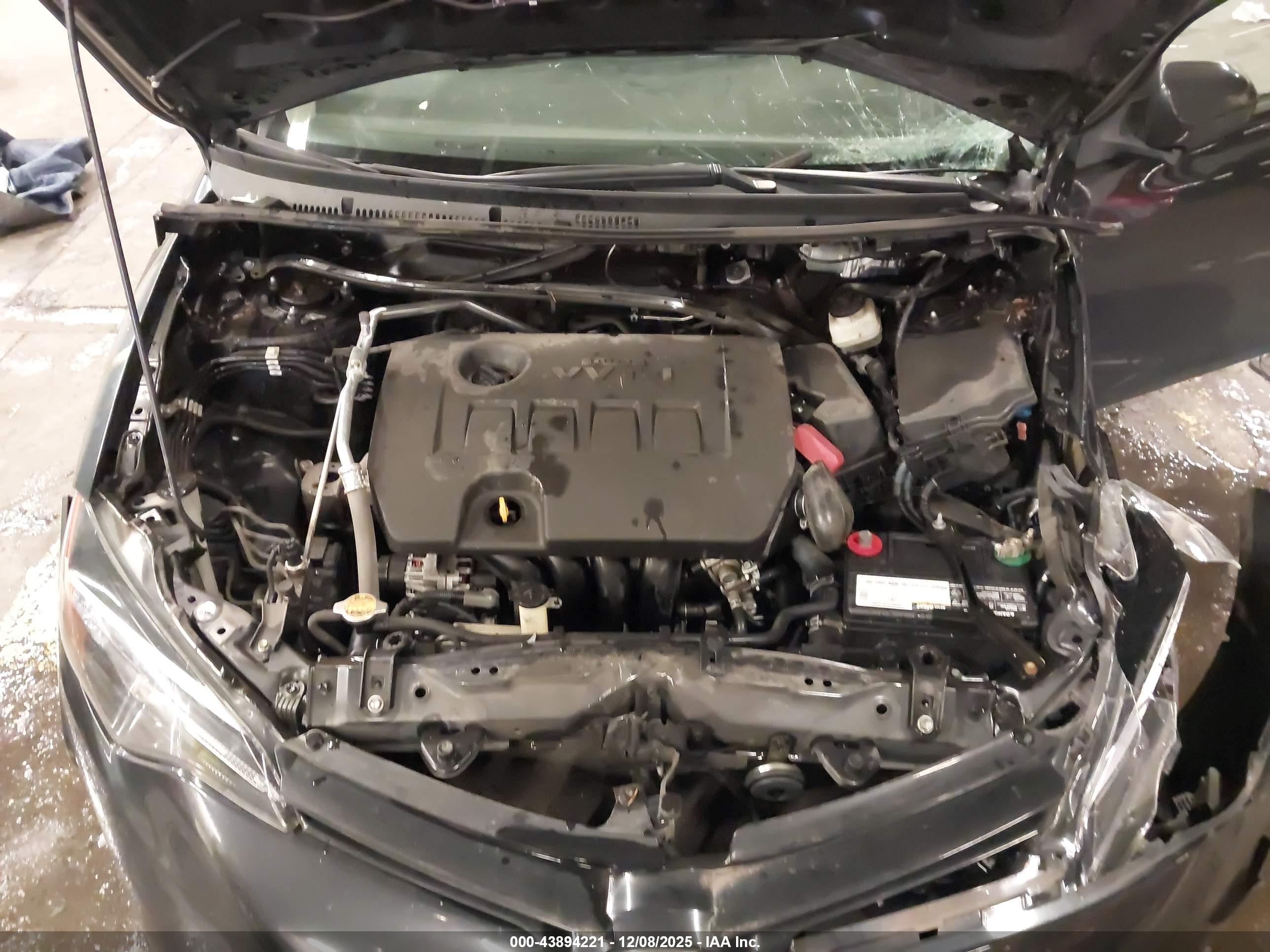 TOYOTA COROLLA image 10