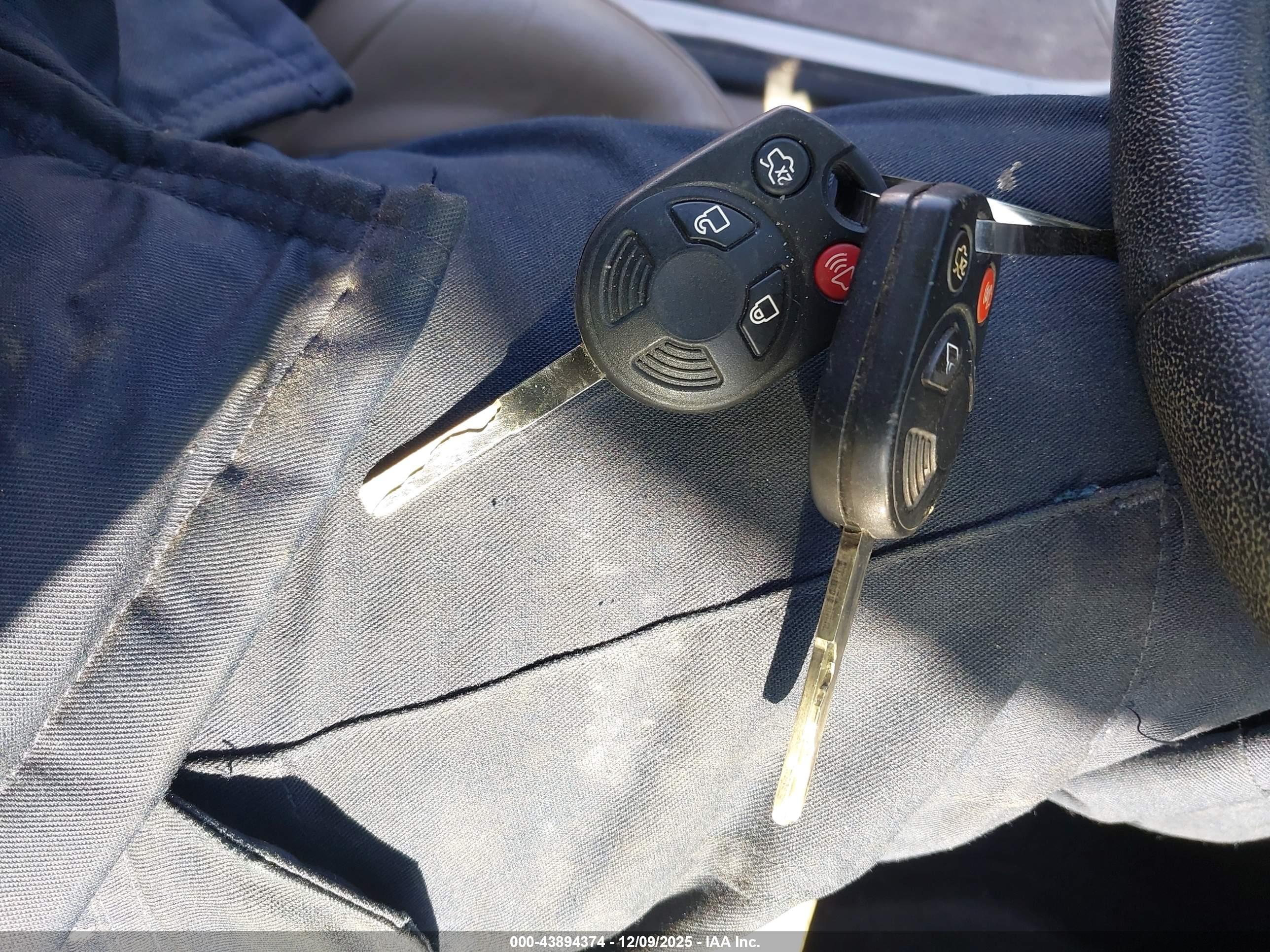 FORD FOCUS image 11