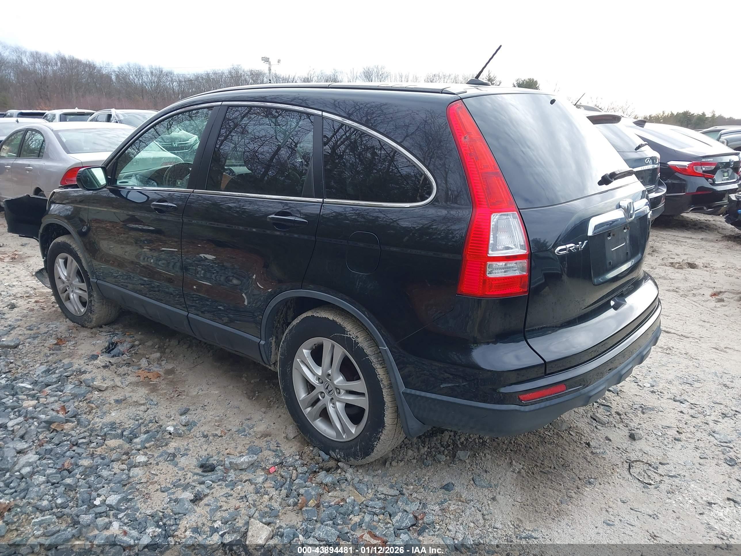 HONDA CR-V image 3